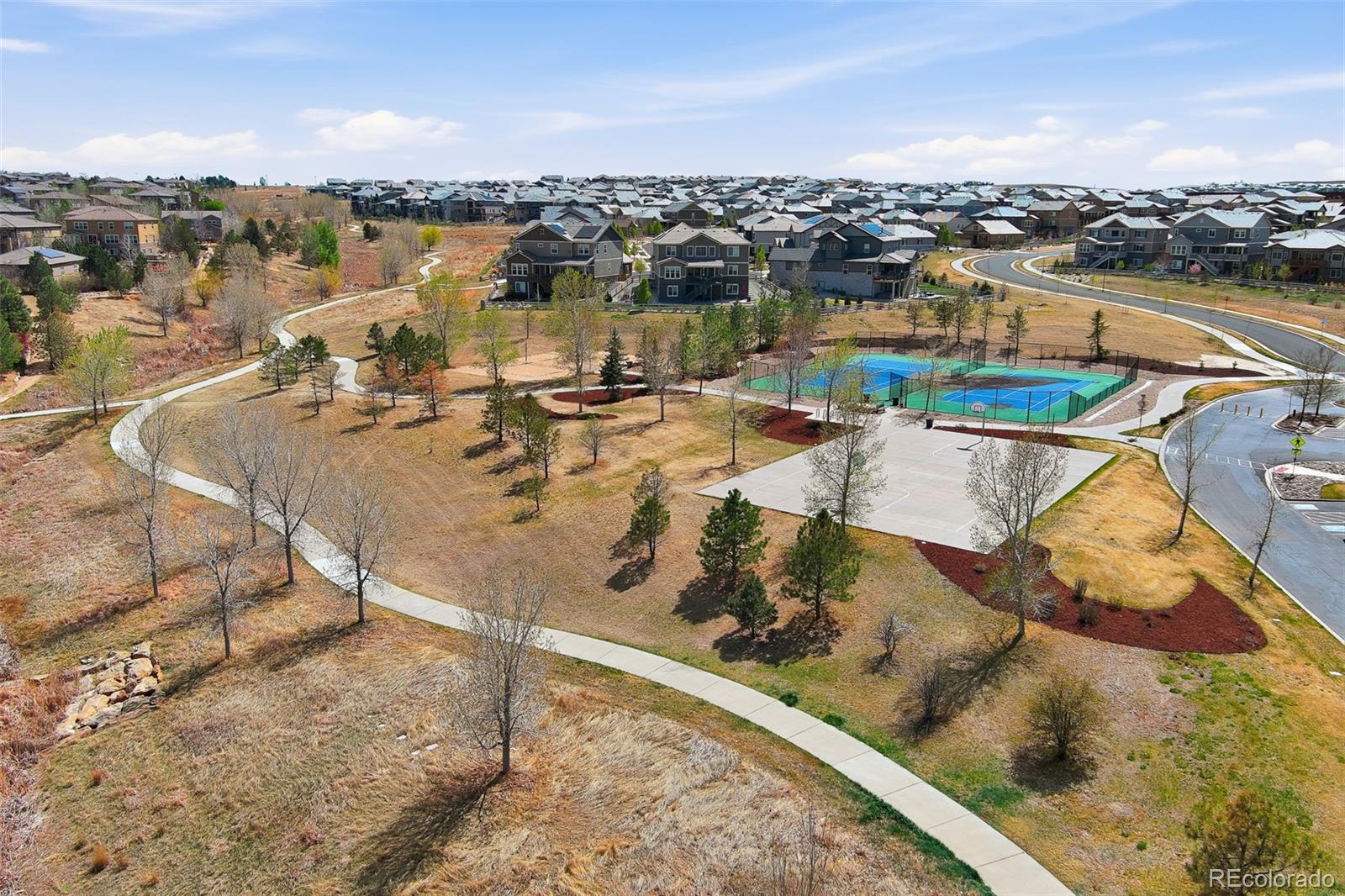 MLS Image #44 for 2662  gray wolf loop,broomfield, Colorado