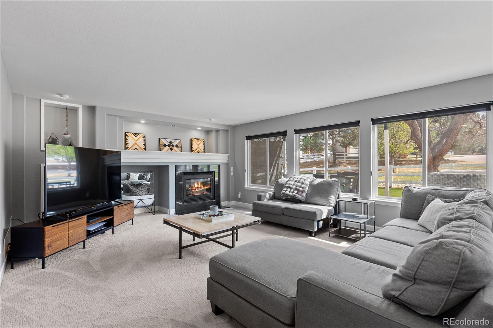 MLS Image #22 for 10076  astoria court,lone tree, Colorado
