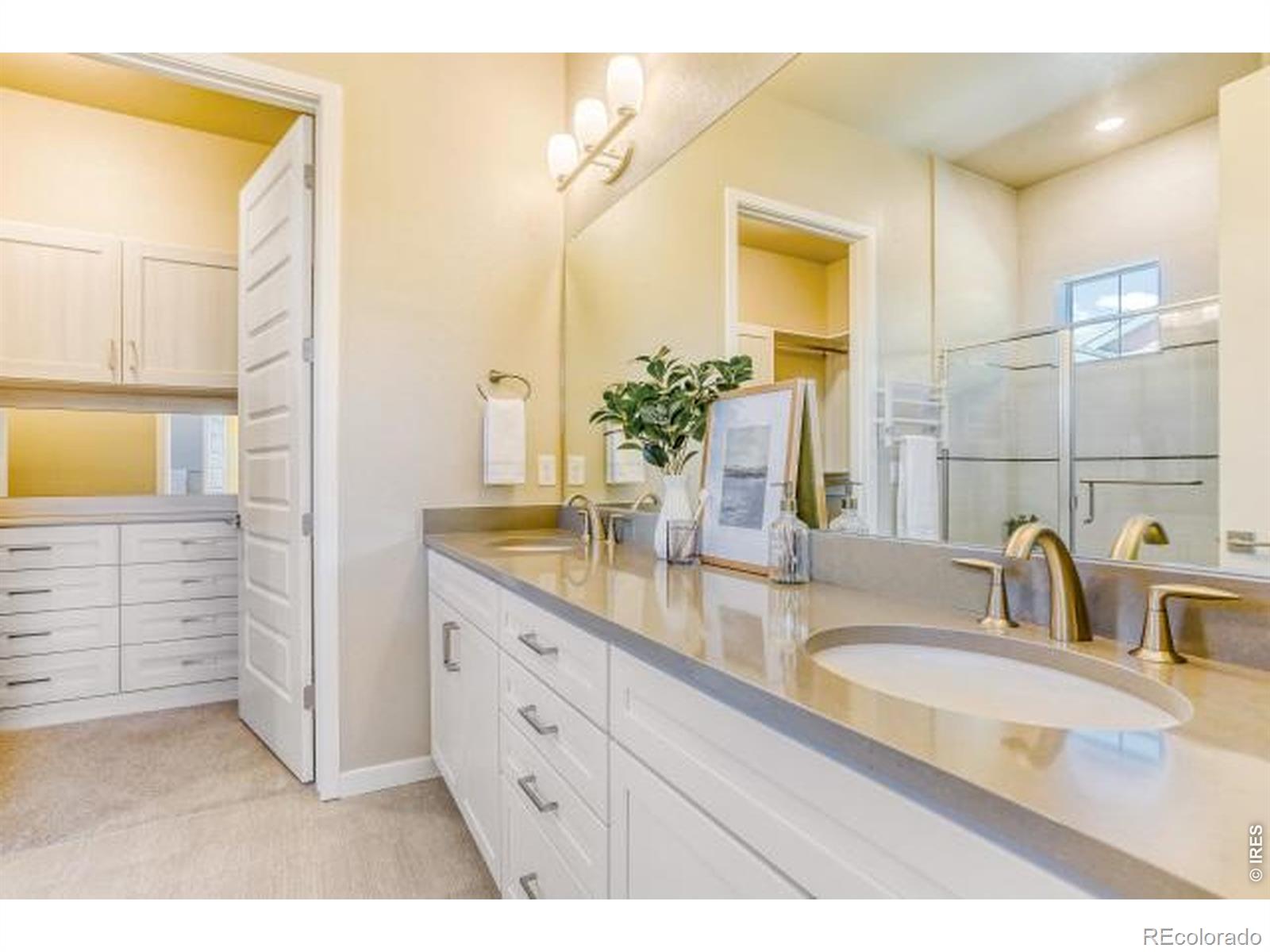 MLS Image #11 for 874  quarry circle,erie, Colorado