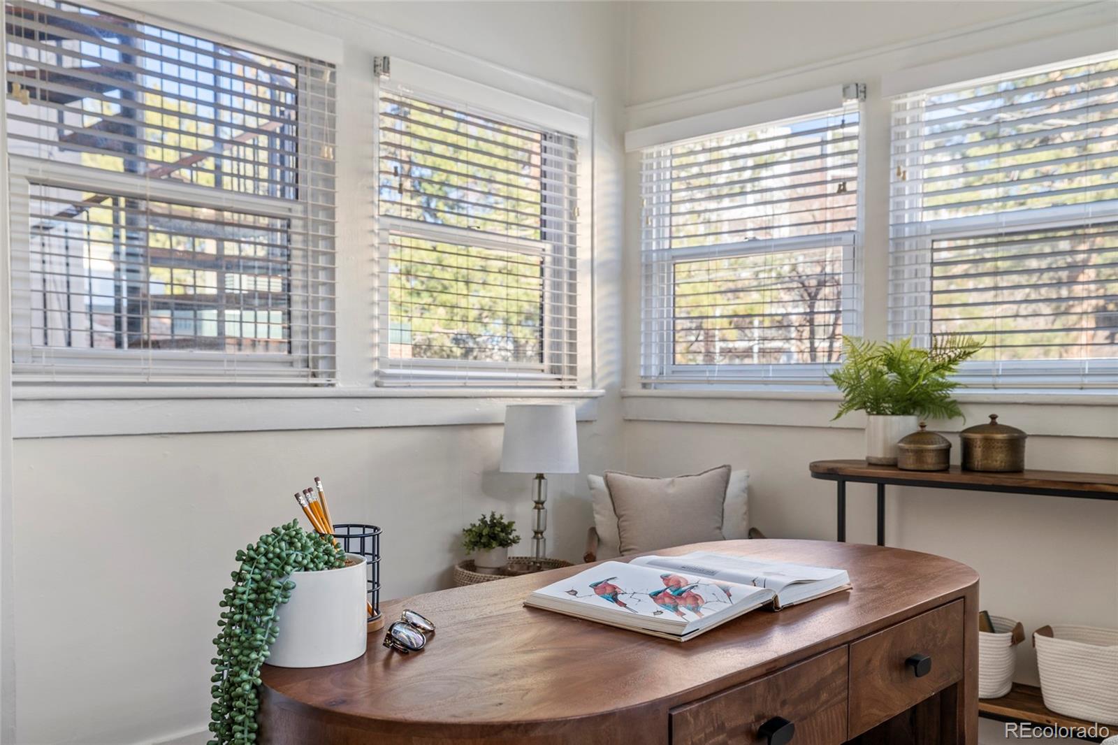 MLS Image #15 for 1640 n downing street,denver, Colorado