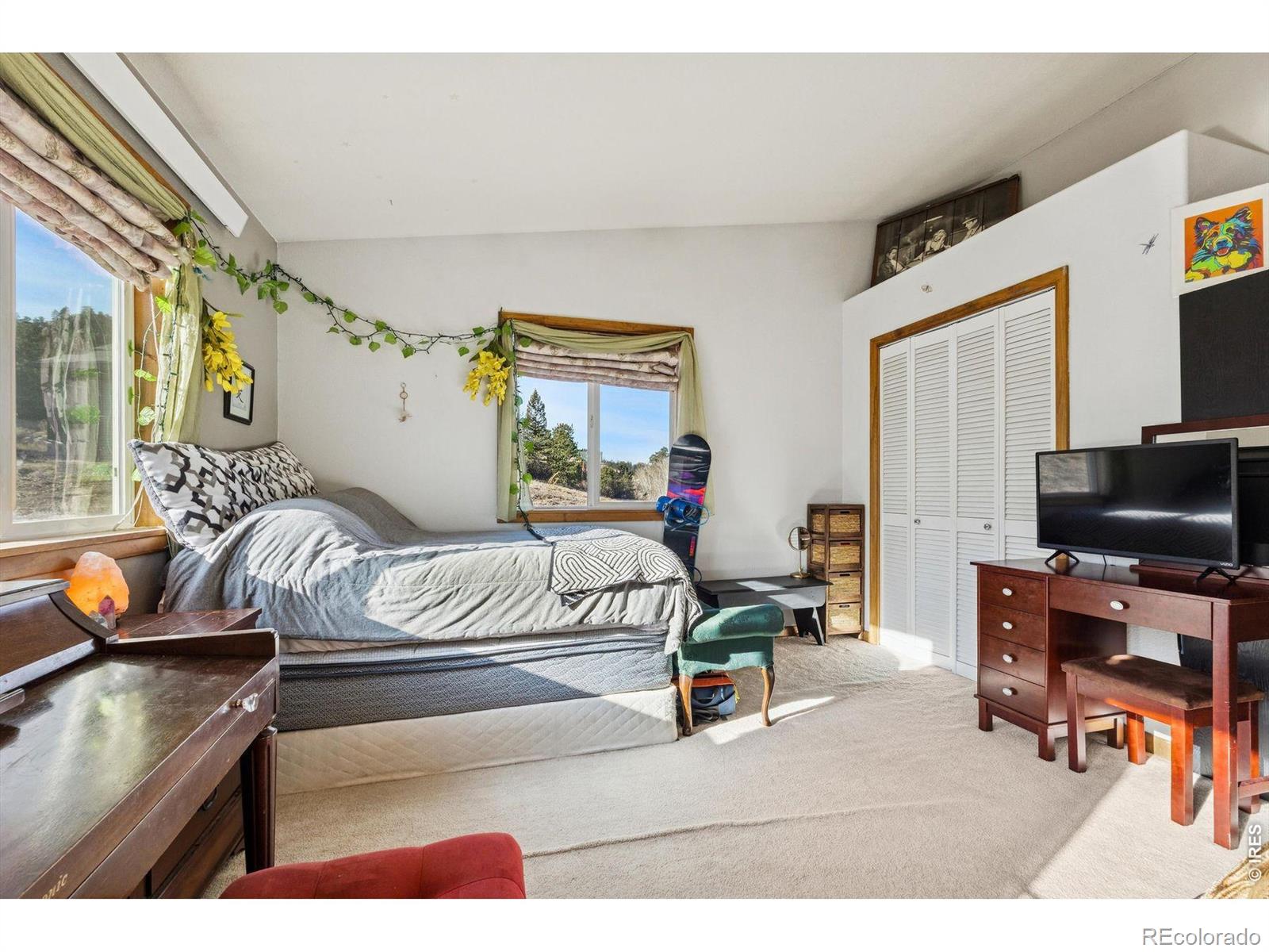 MLS Image #18 for 150  mount fisher court,livermore, Colorado