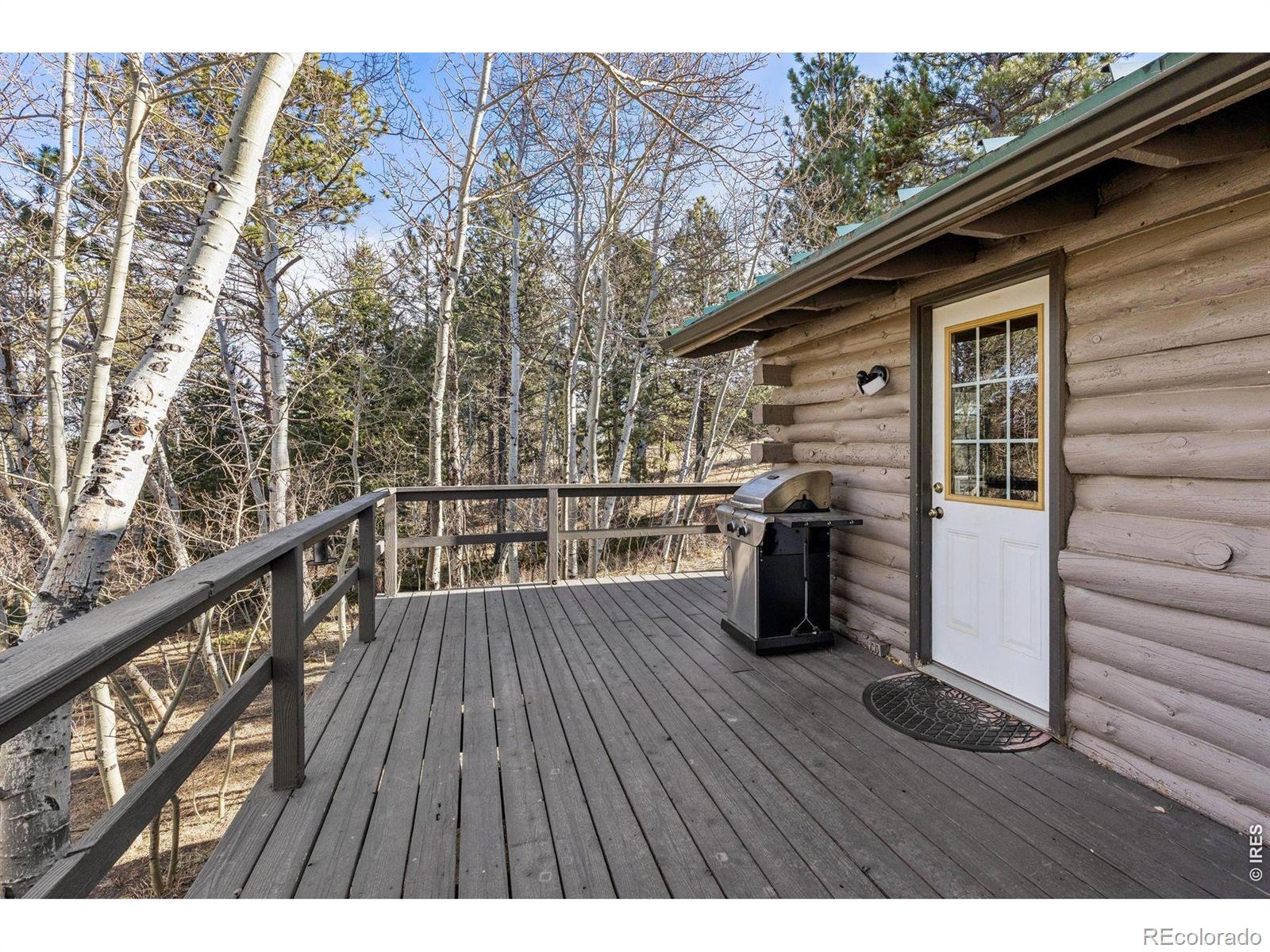 MLS Image #22 for 150  mount fisher court,livermore, Colorado