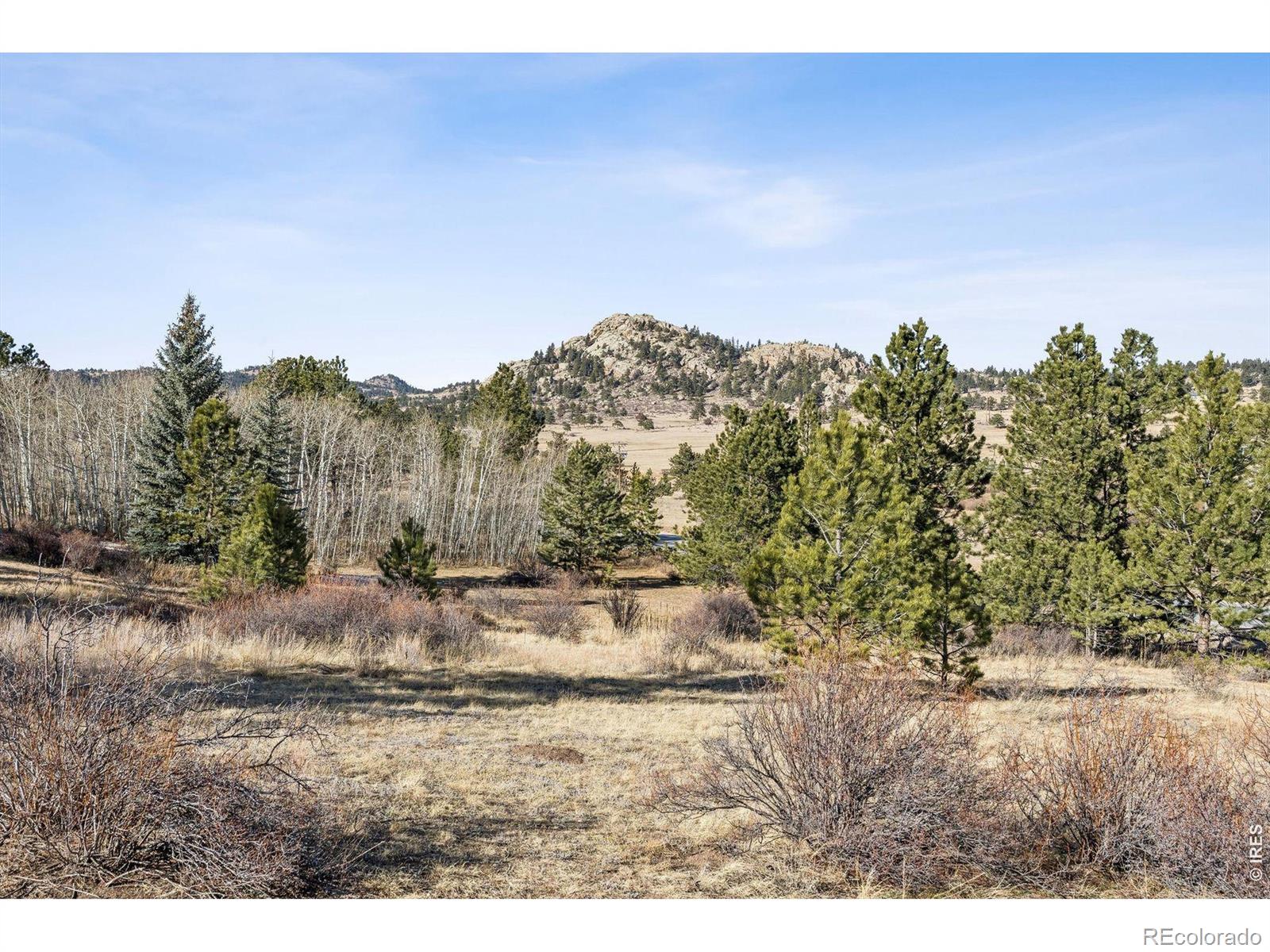 MLS Image #32 for 150  mount fisher court,livermore, Colorado