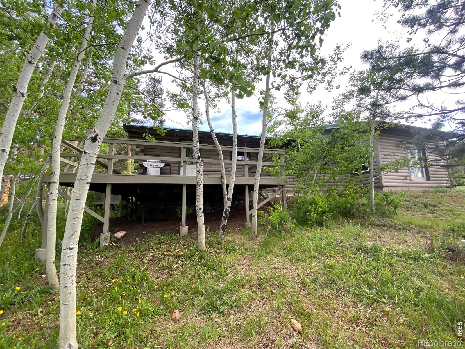 MLS Image #39 for 150  mount fisher court,livermore, Colorado