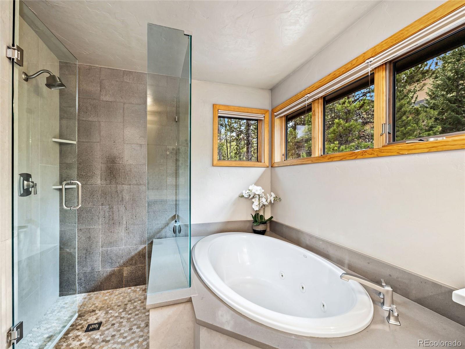 MLS Image #21 for 1793  falcon drive,silverthorne, Colorado