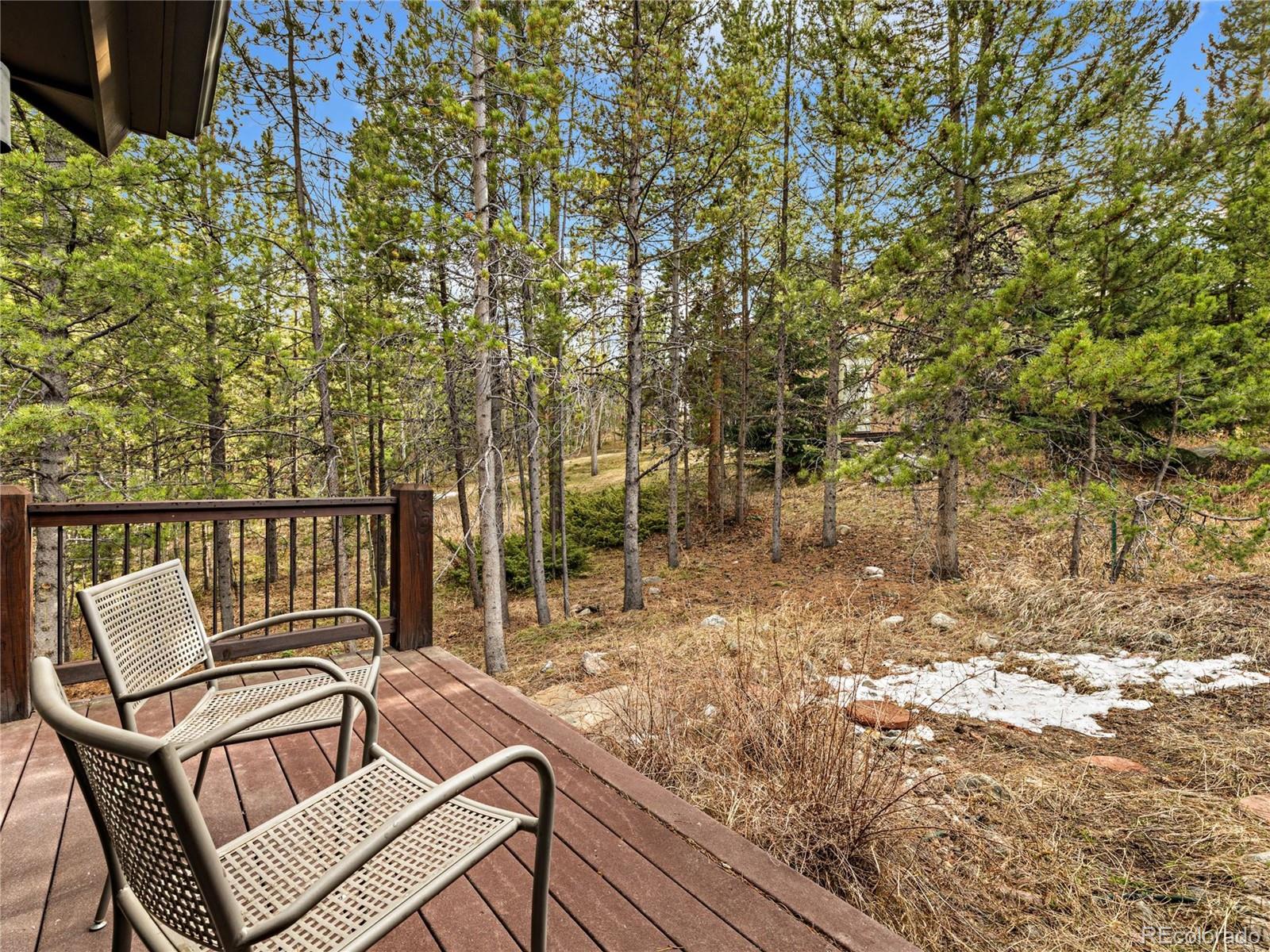 MLS Image #30 for 1793  falcon drive,silverthorne, Colorado