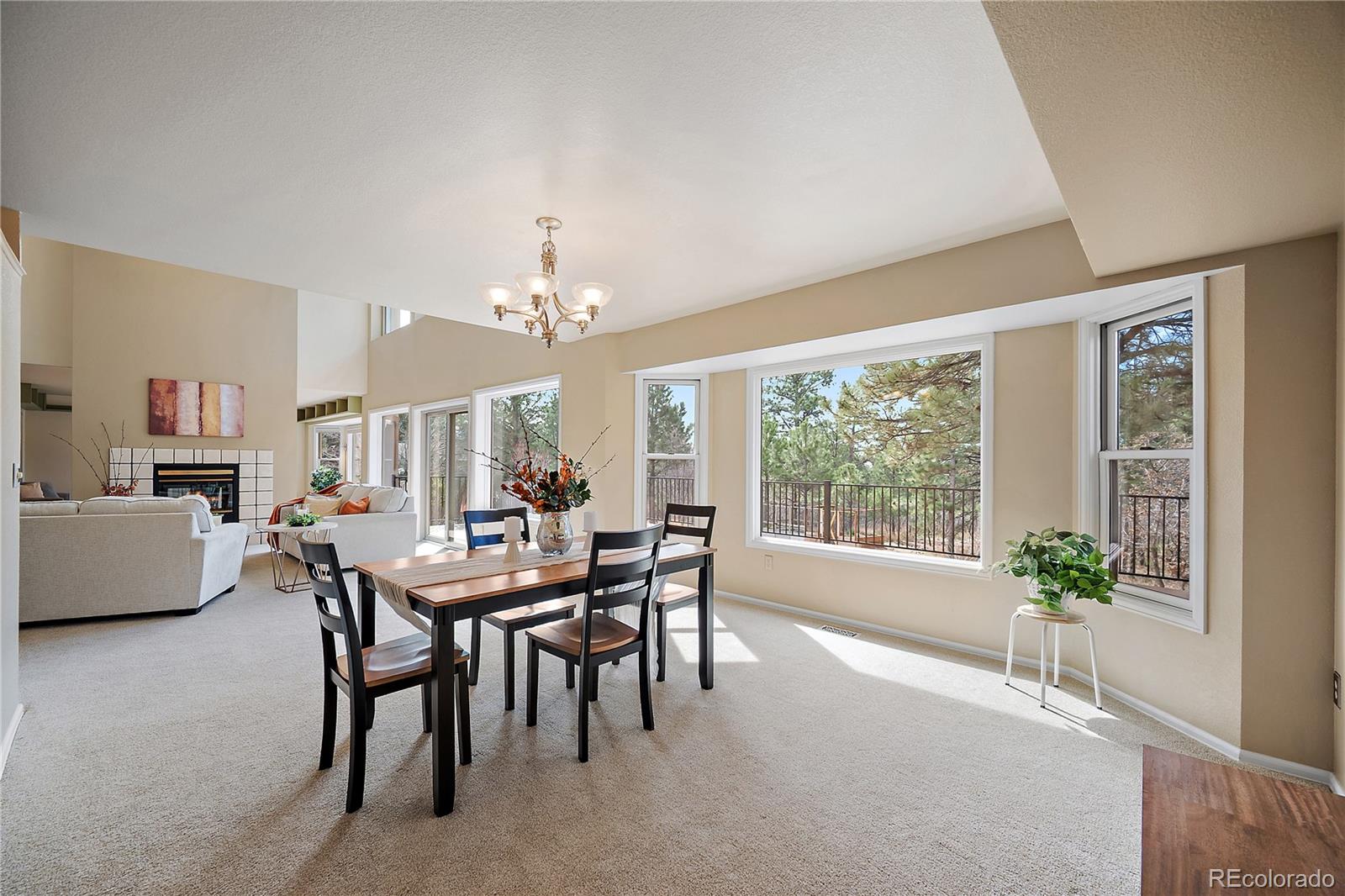 MLS Image #12 for 1669  woodstone way,monument, Colorado