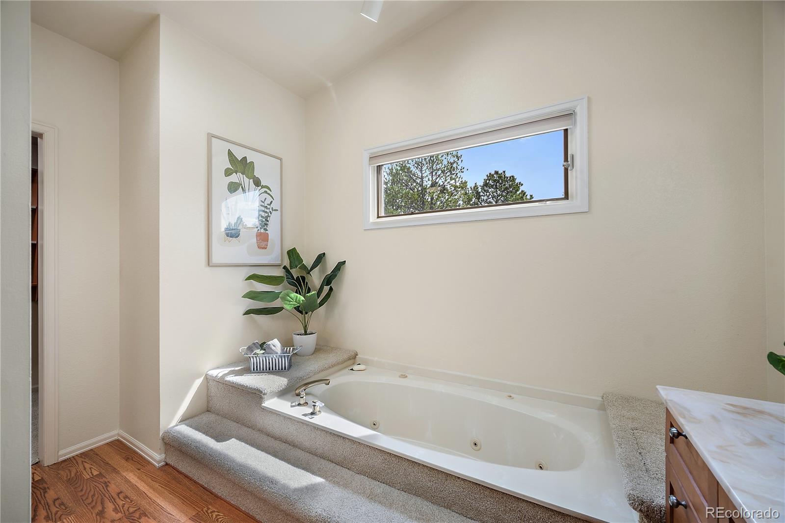 MLS Image #28 for 1669  woodstone way,monument, Colorado