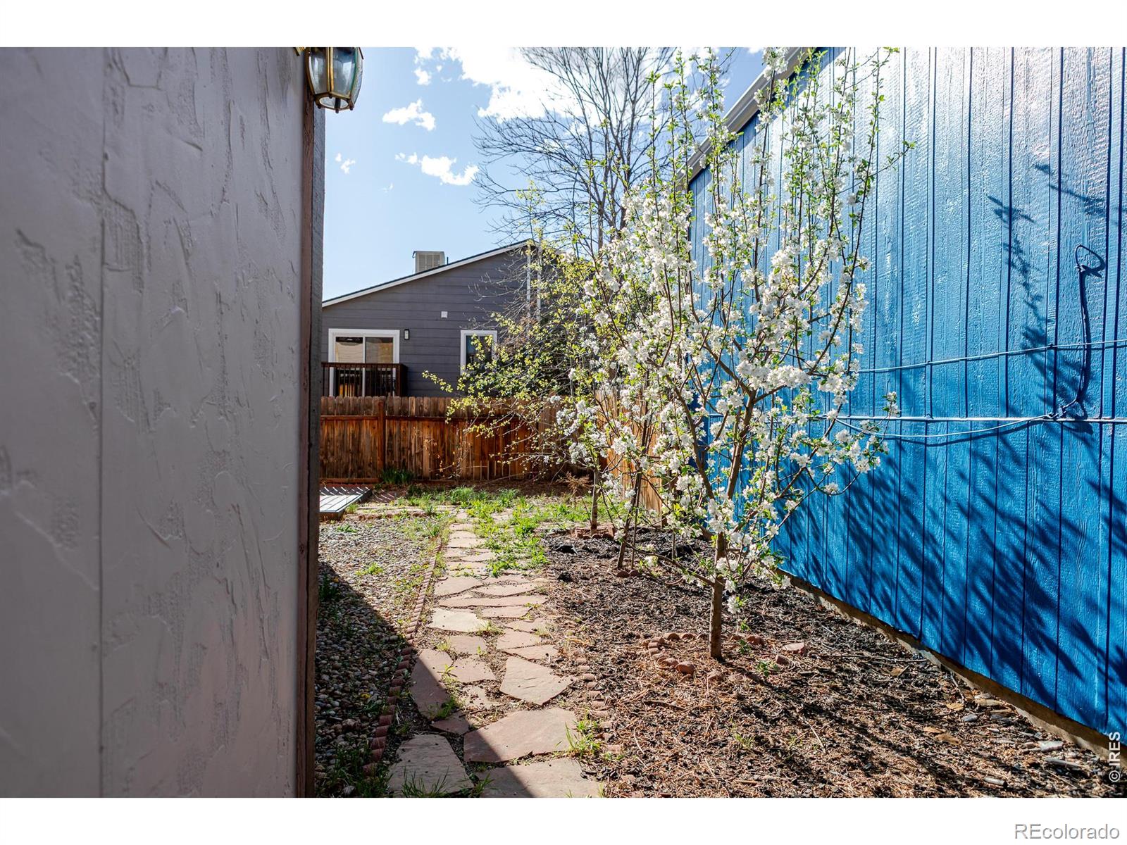MLS Image #14 for 1345  dogwood lane,longmont, Colorado
