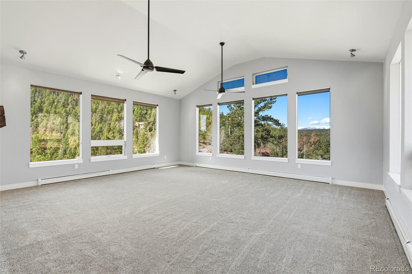 MLS Image #11 for 14126  wamblee trail,conifer, Colorado