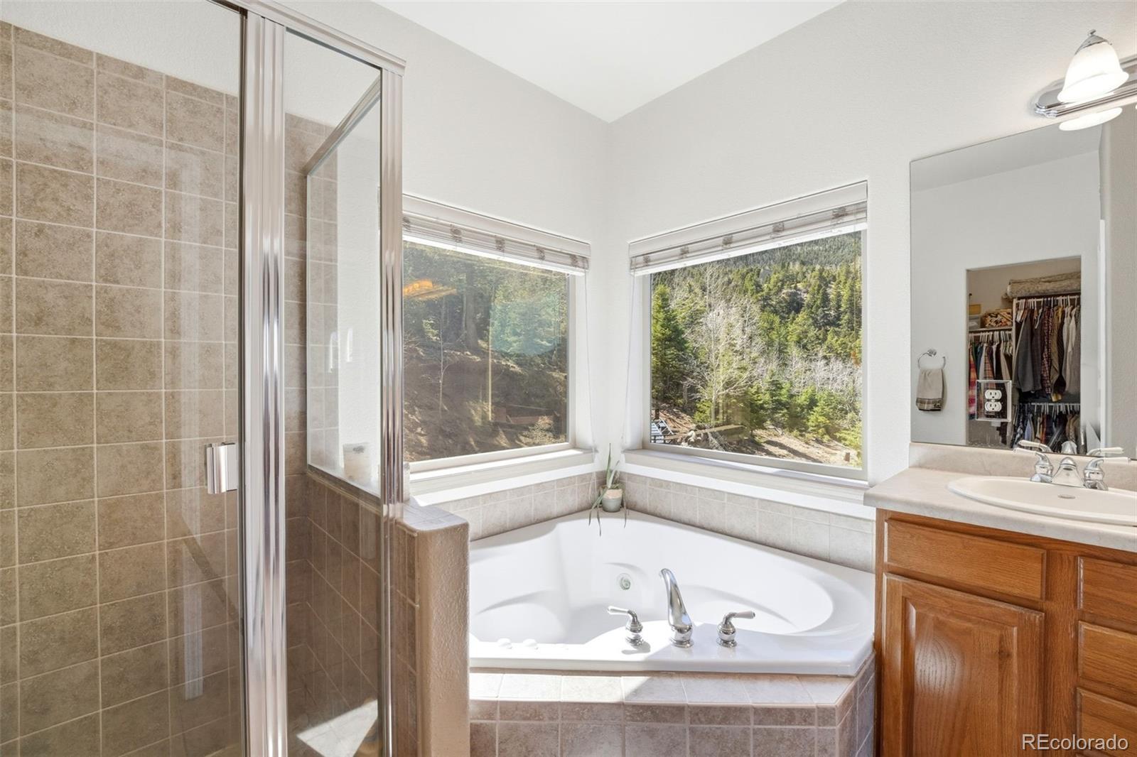 MLS Image #10 for 6070  big horn road,manitou springs, Colorado