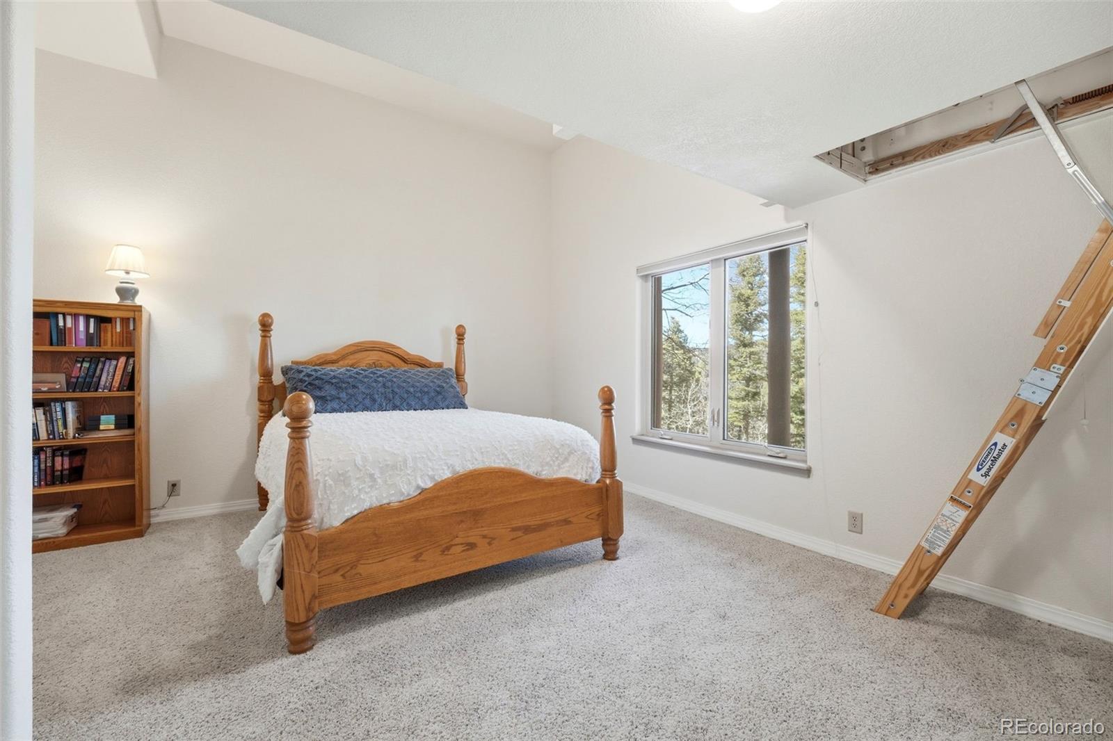 MLS Image #36 for 6070  big horn road,manitou springs, Colorado