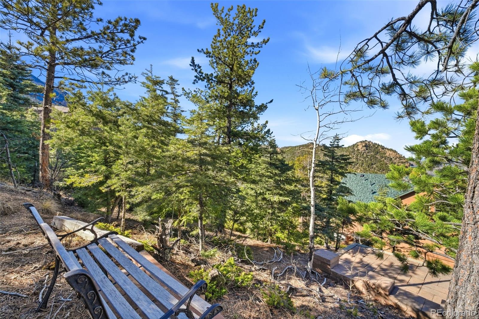 MLS Image #40 for 6070  big horn road,manitou springs, Colorado