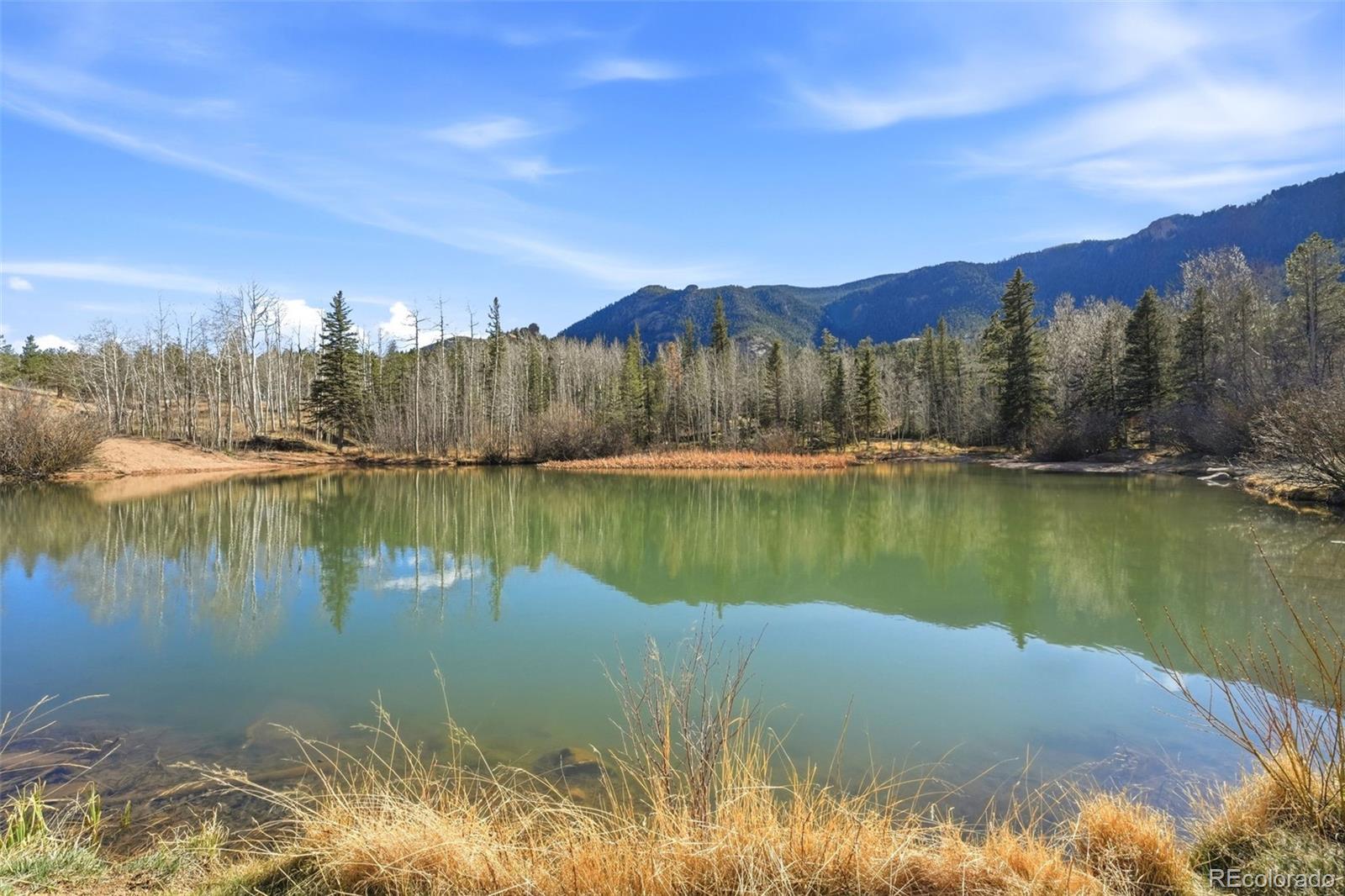 MLS Image #44 for 6070  big horn road,manitou springs, Colorado