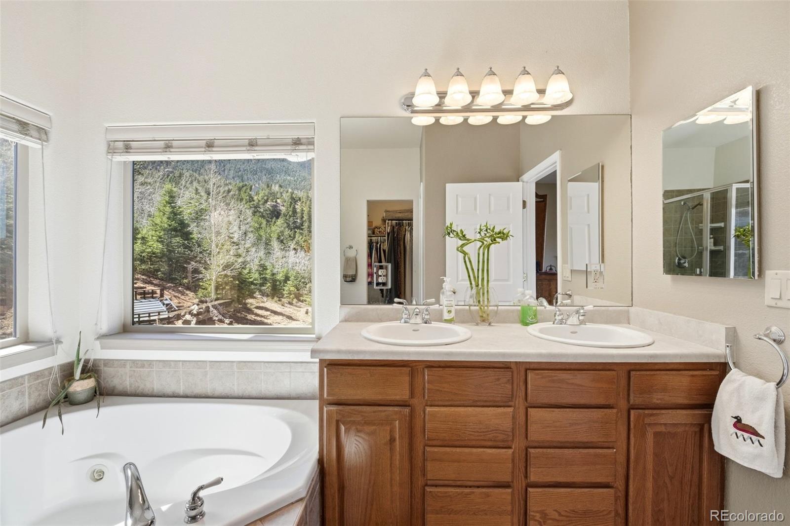 MLS Image #9 for 6070  big horn road,manitou springs, Colorado