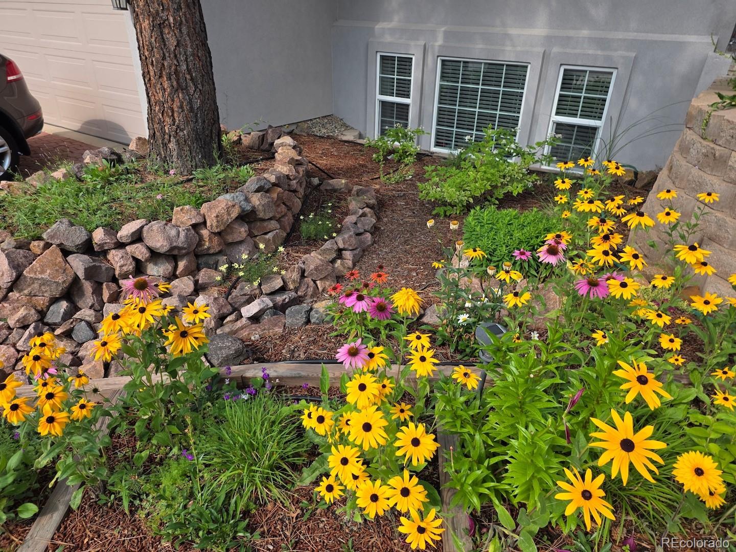 MLS Image #42 for 6020  castlewood lane,colorado springs, Colorado