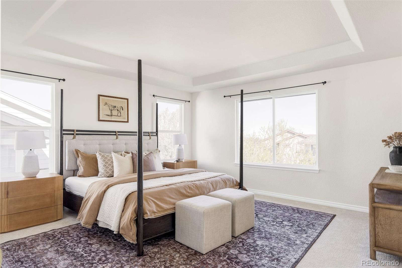 MLS Image #10 for 10715  riverbrook circle,highlands ranch, Colorado
