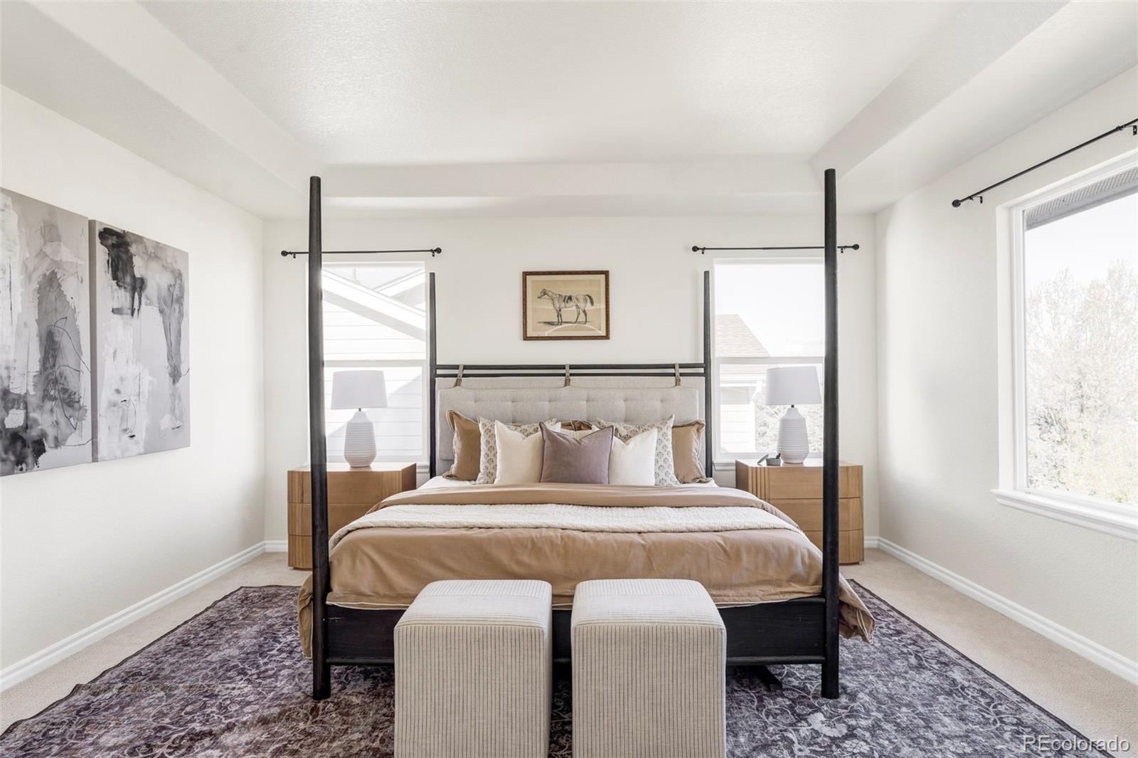 MLS Image #9 for 10715  riverbrook circle,highlands ranch, Colorado