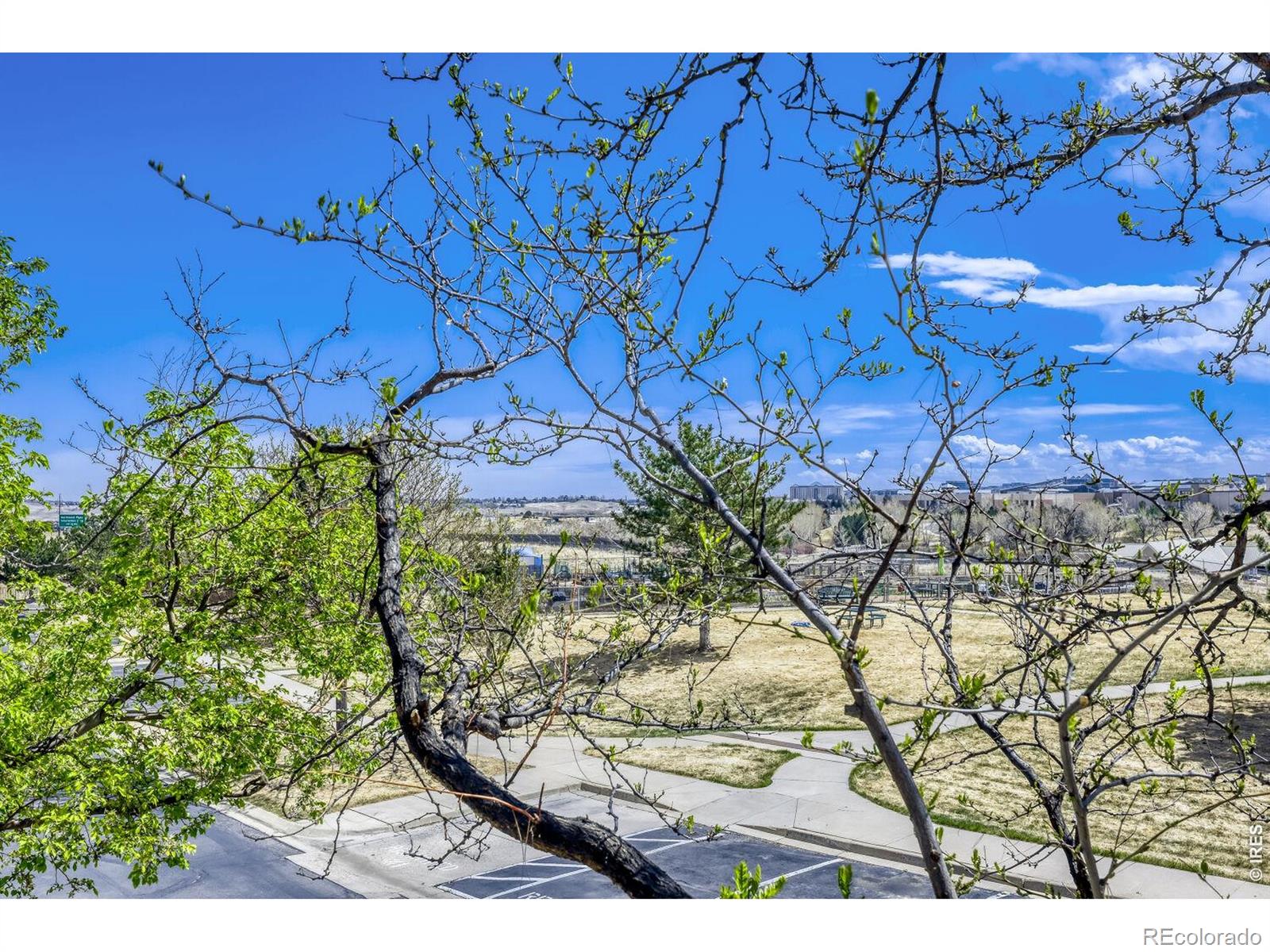 MLS Image #13 for 2124  concord lane,superior, Colorado