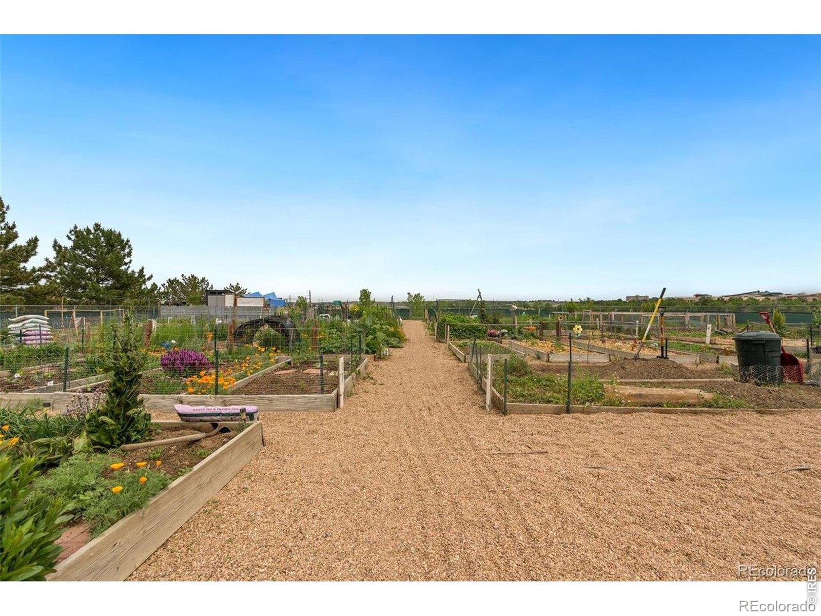 MLS Image #31 for 2124  concord lane,superior, Colorado