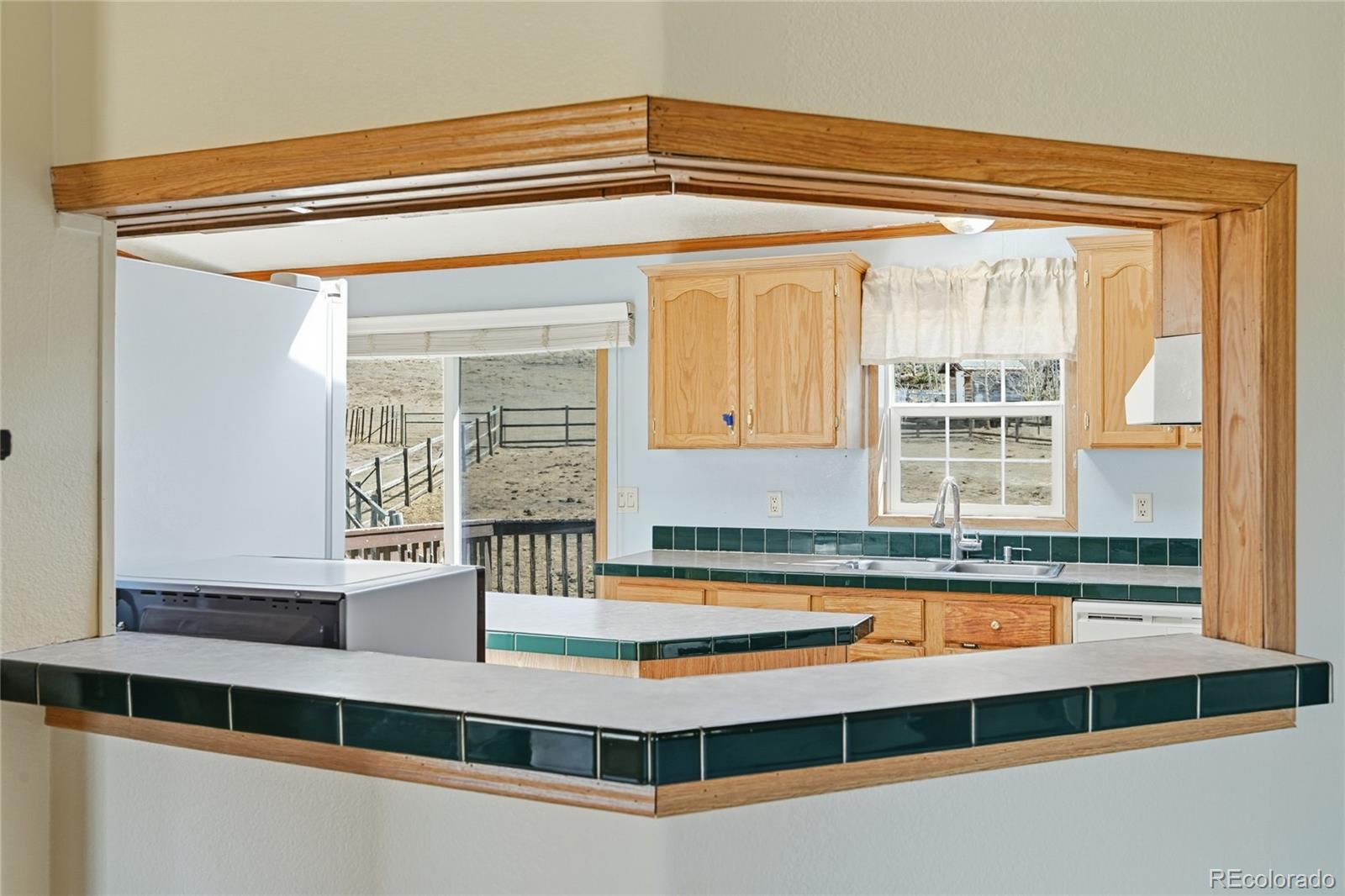 MLS Image #12 for 4441  goldenburg canyon road,hartsel, Colorado