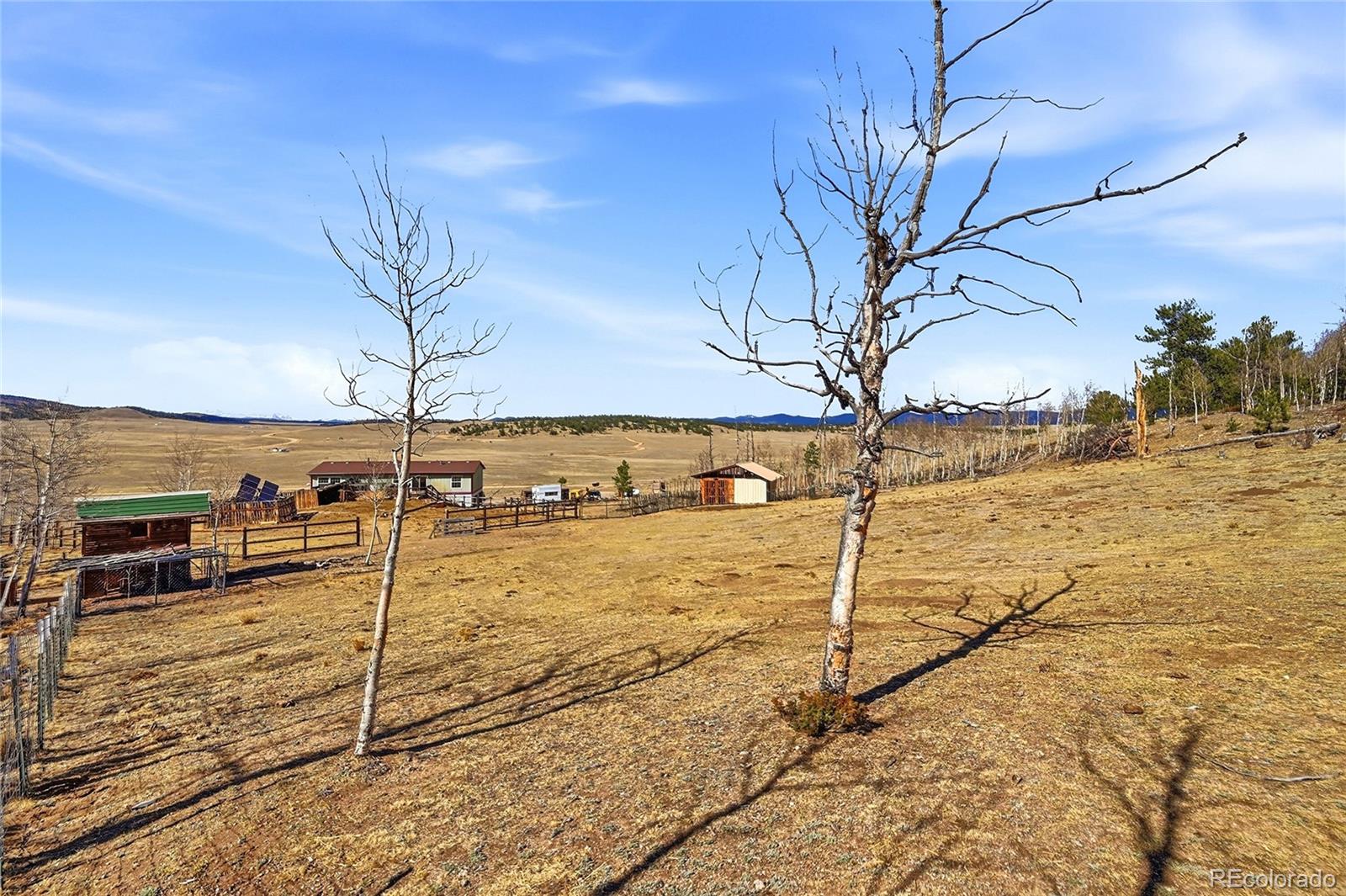 MLS Image #40 for 4441  goldenburg canyon road,hartsel, Colorado