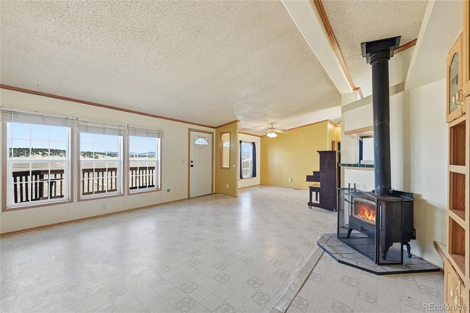 MLS Image #9 for 4441  goldenburg canyon road,hartsel, Colorado