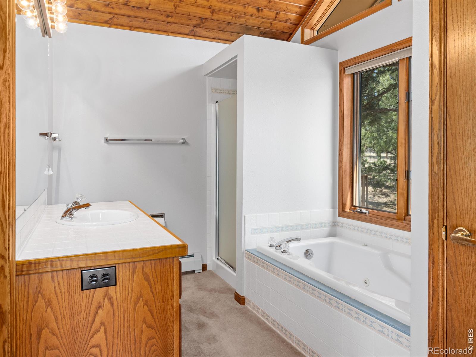 MLS Image #29 for 650  summit drive,estes park, Colorado