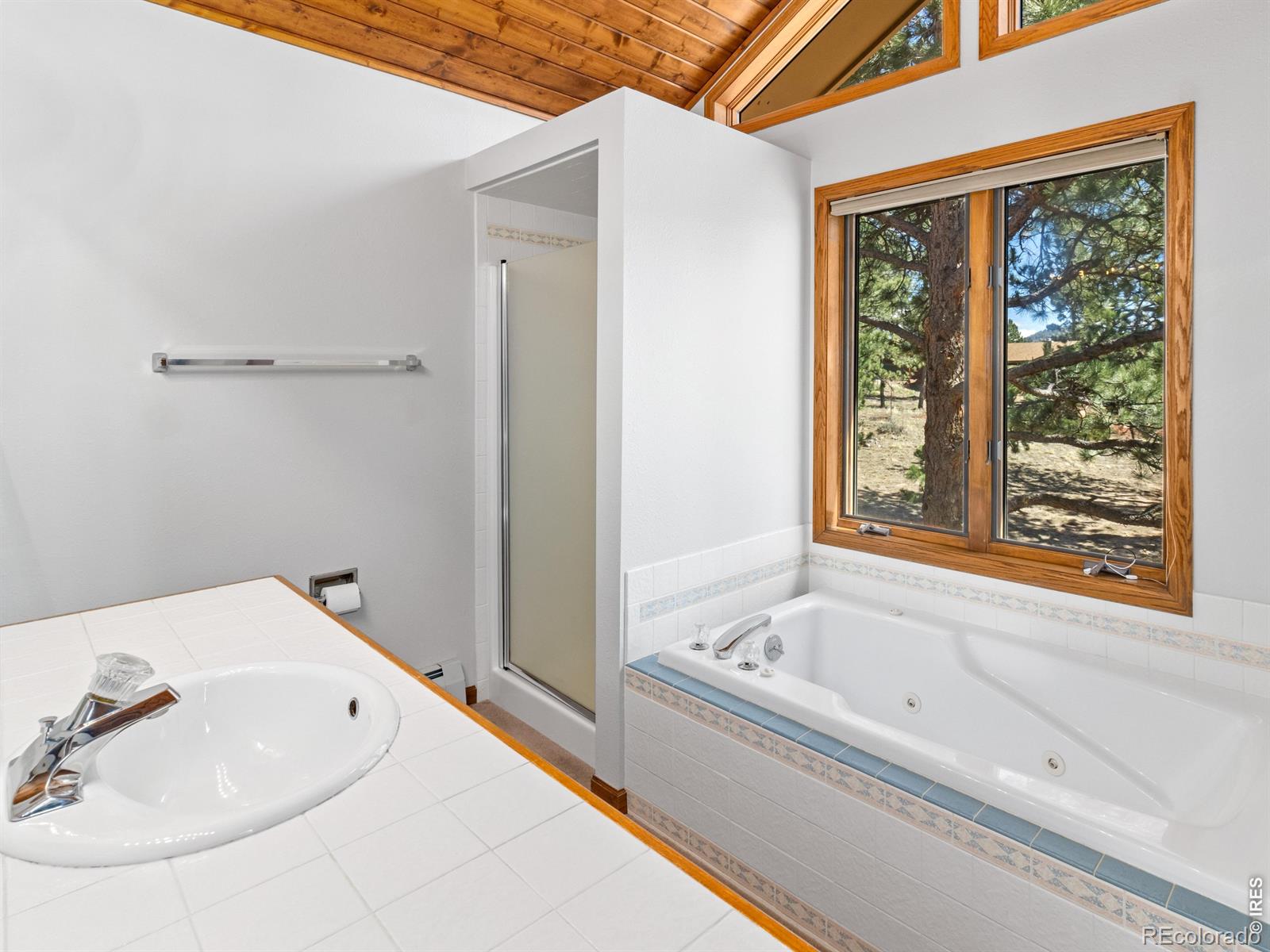 MLS Image #31 for 650  summit drive,estes park, Colorado