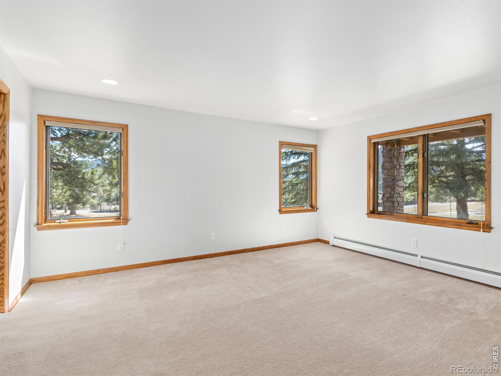 MLS Image #42 for 650  summit drive,estes park, Colorado