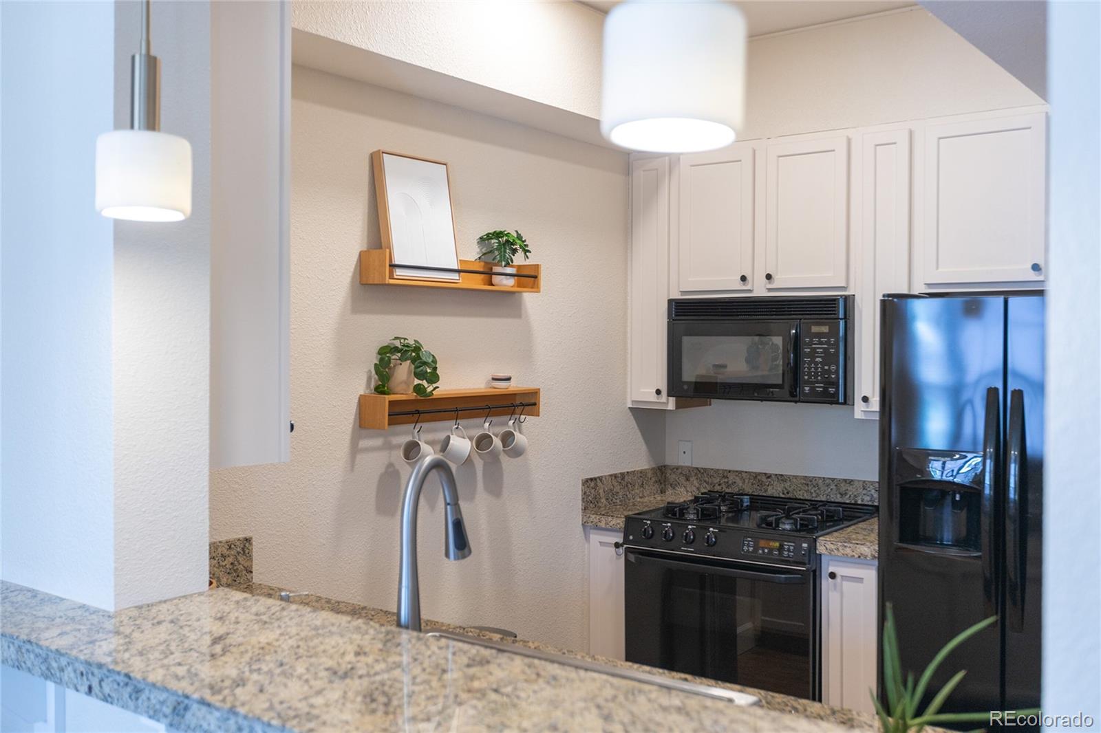 MLS Image #20 for 1699 n downing street,denver, Colorado