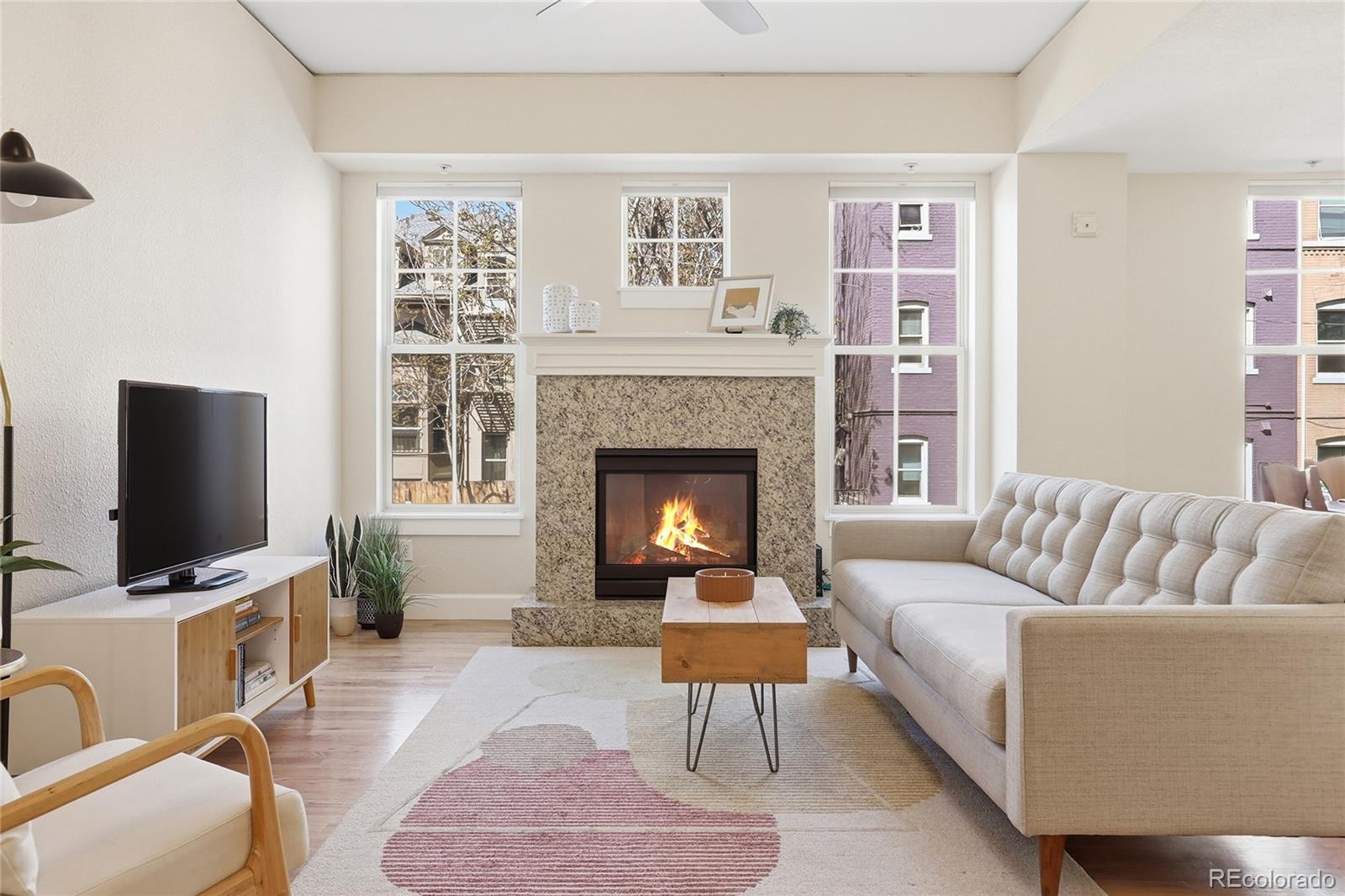 MLS Image #8 for 1699 n downing street,denver, Colorado