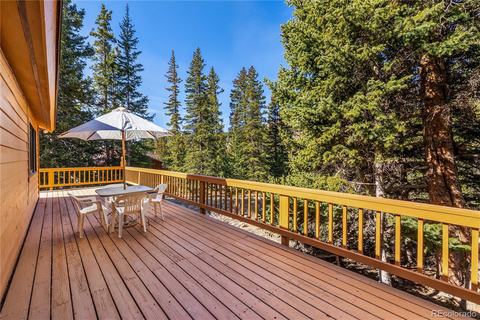 MLS Image #1 for 235  nuthatch drive,alma, Colorado