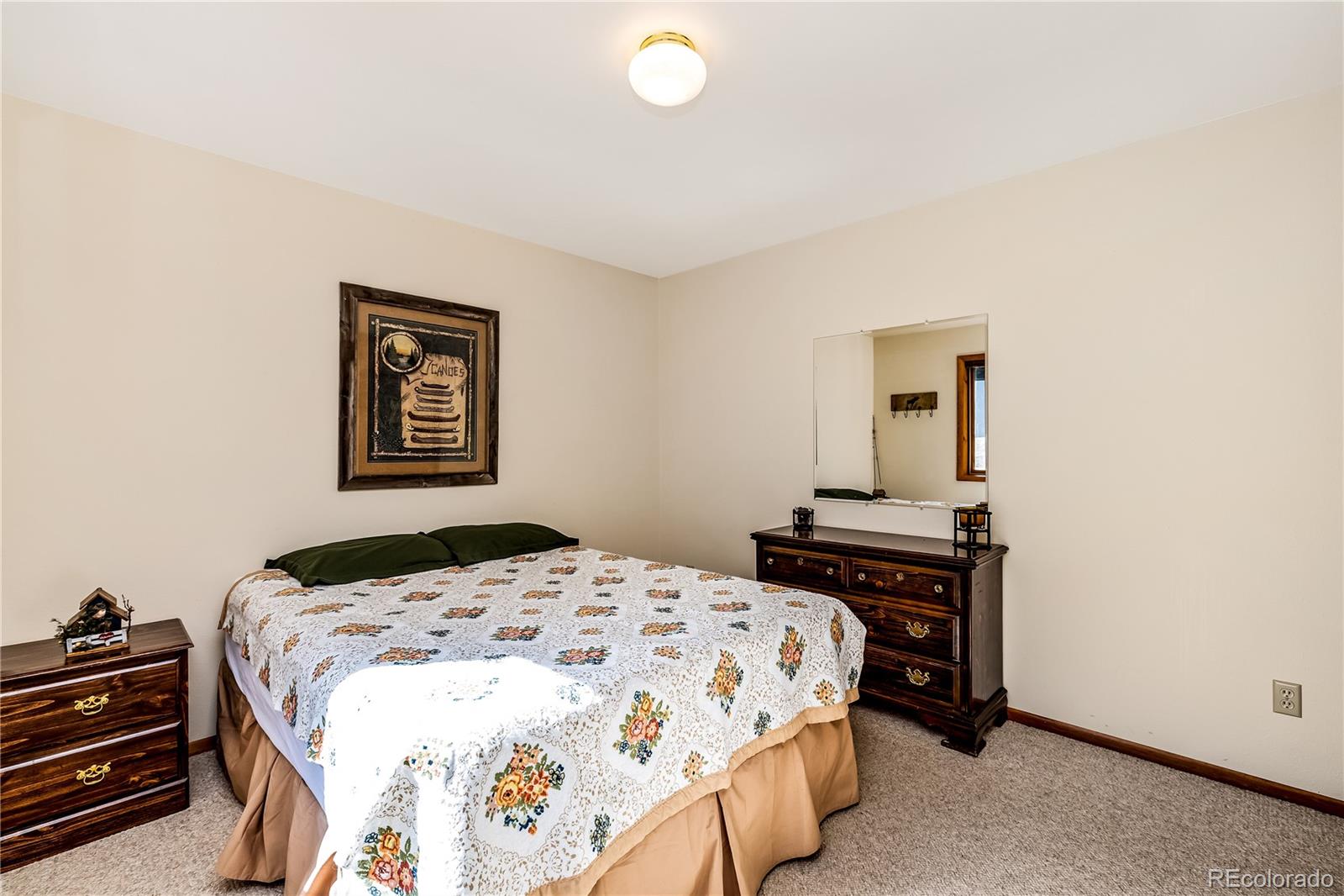 MLS Image #10 for 235  nuthatch drive,alma, Colorado