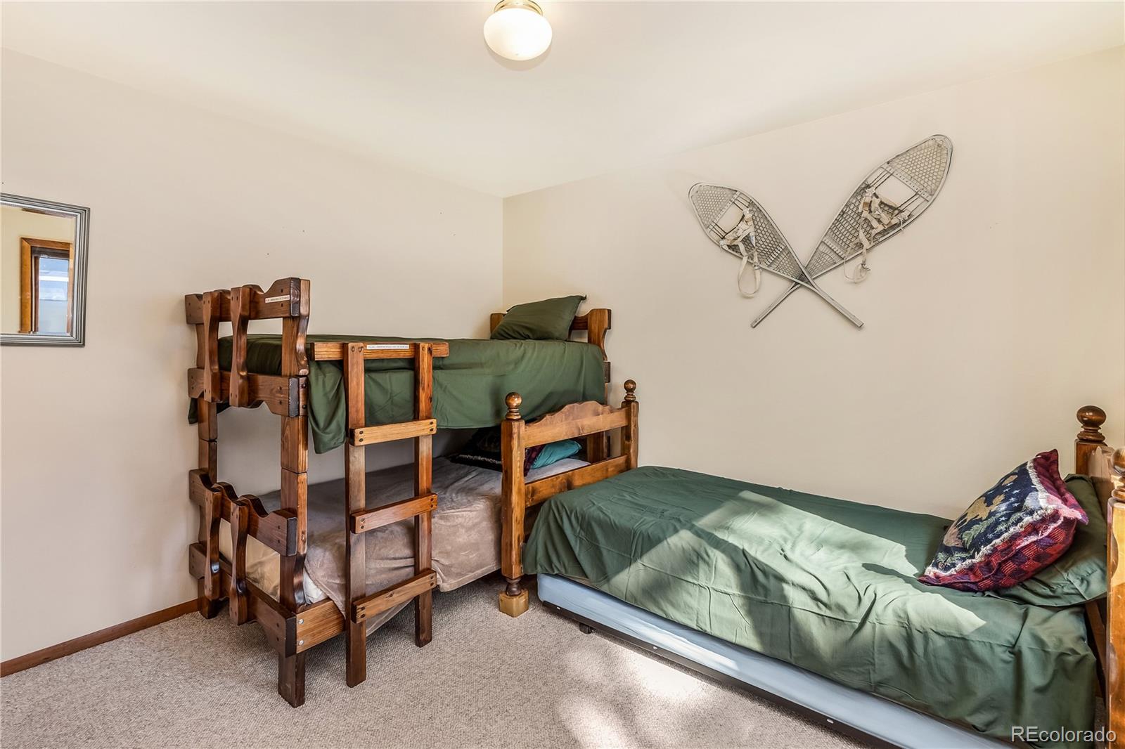 MLS Image #11 for 235  nuthatch drive,alma, Colorado