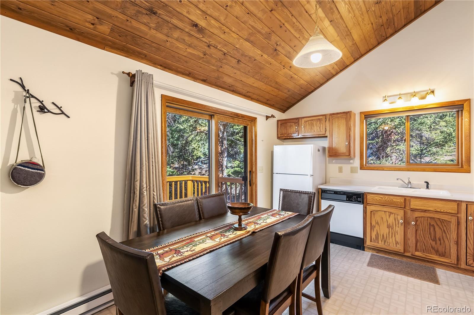 MLS Image #14 for 235  nuthatch drive,alma, Colorado