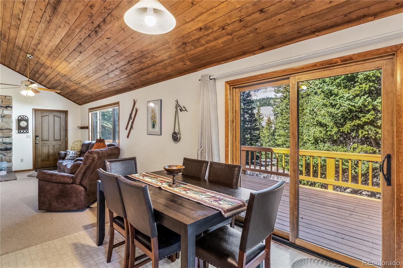 MLS Image #15 for 235  nuthatch drive,alma, Colorado