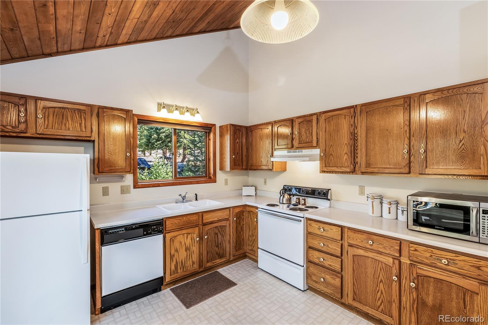 MLS Image #17 for 235  nuthatch drive,alma, Colorado