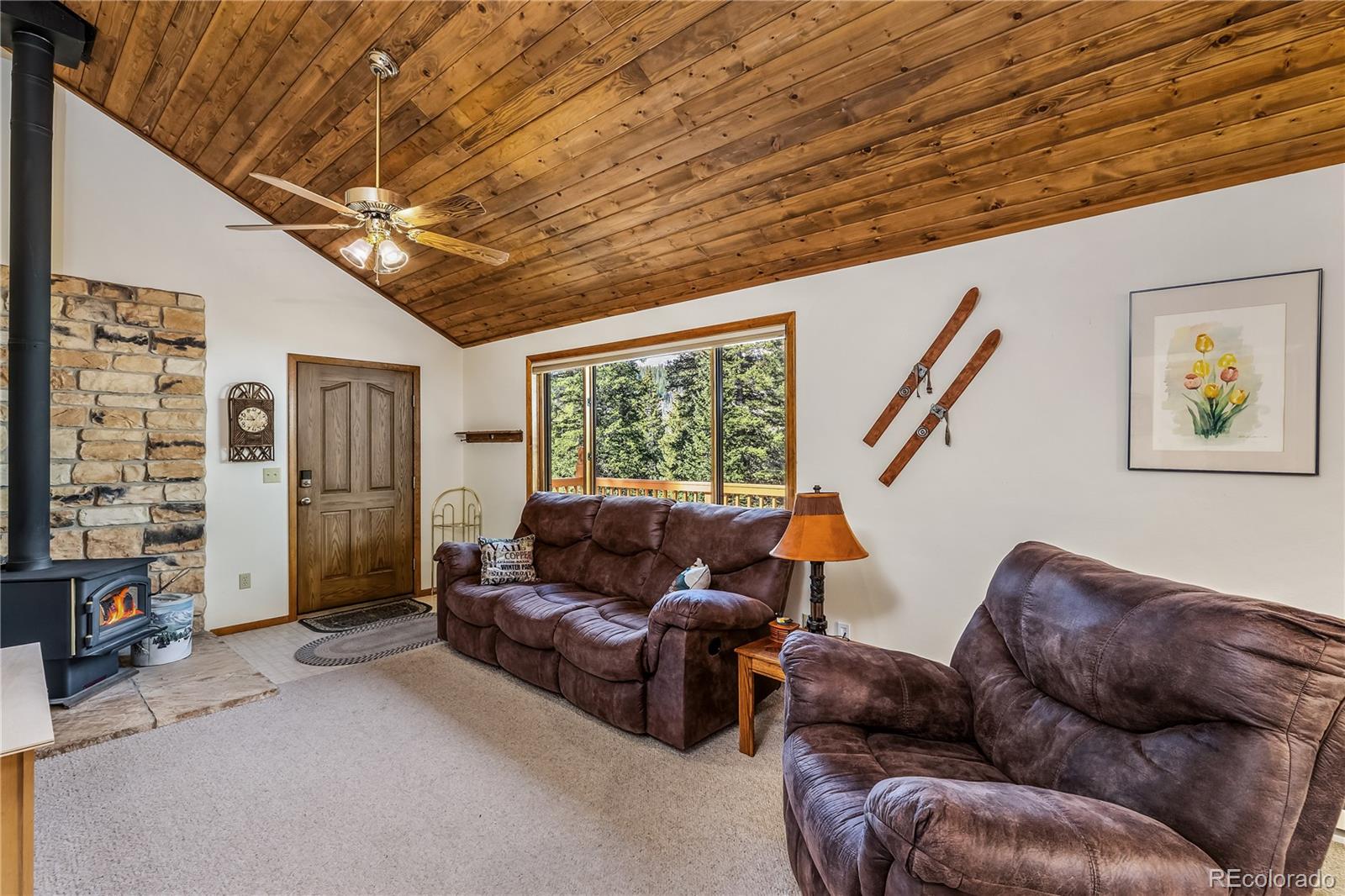 MLS Image #18 for 235  nuthatch drive,alma, Colorado