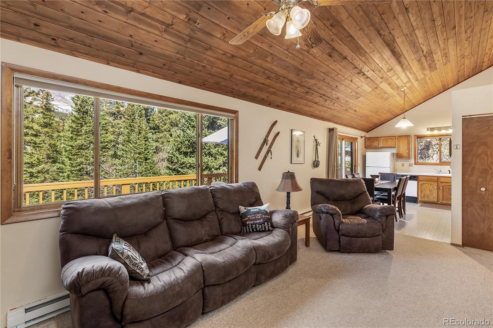 MLS Image #19 for 235  nuthatch drive,alma, Colorado