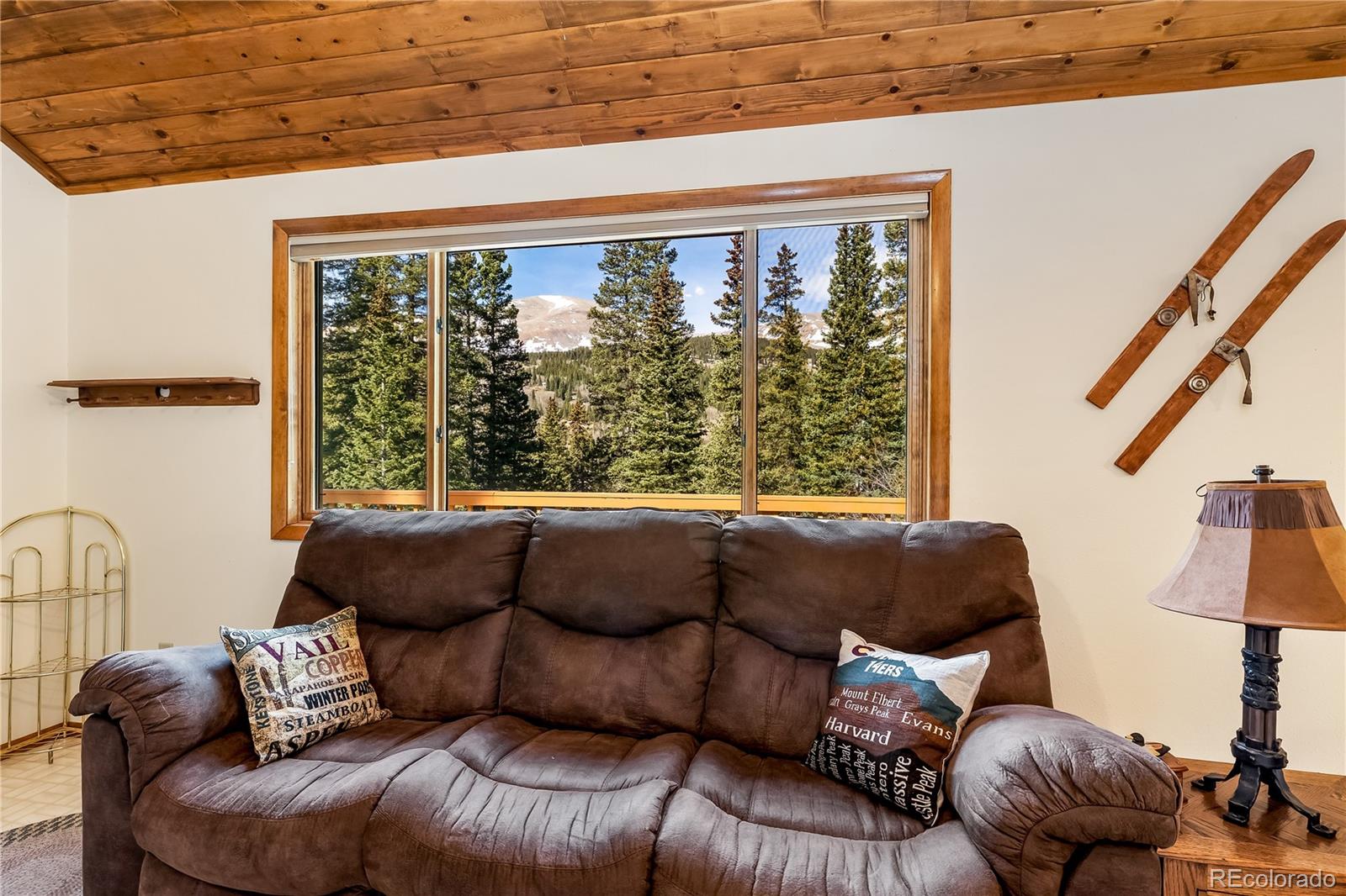 MLS Image #2 for 235  nuthatch drive,alma, Colorado