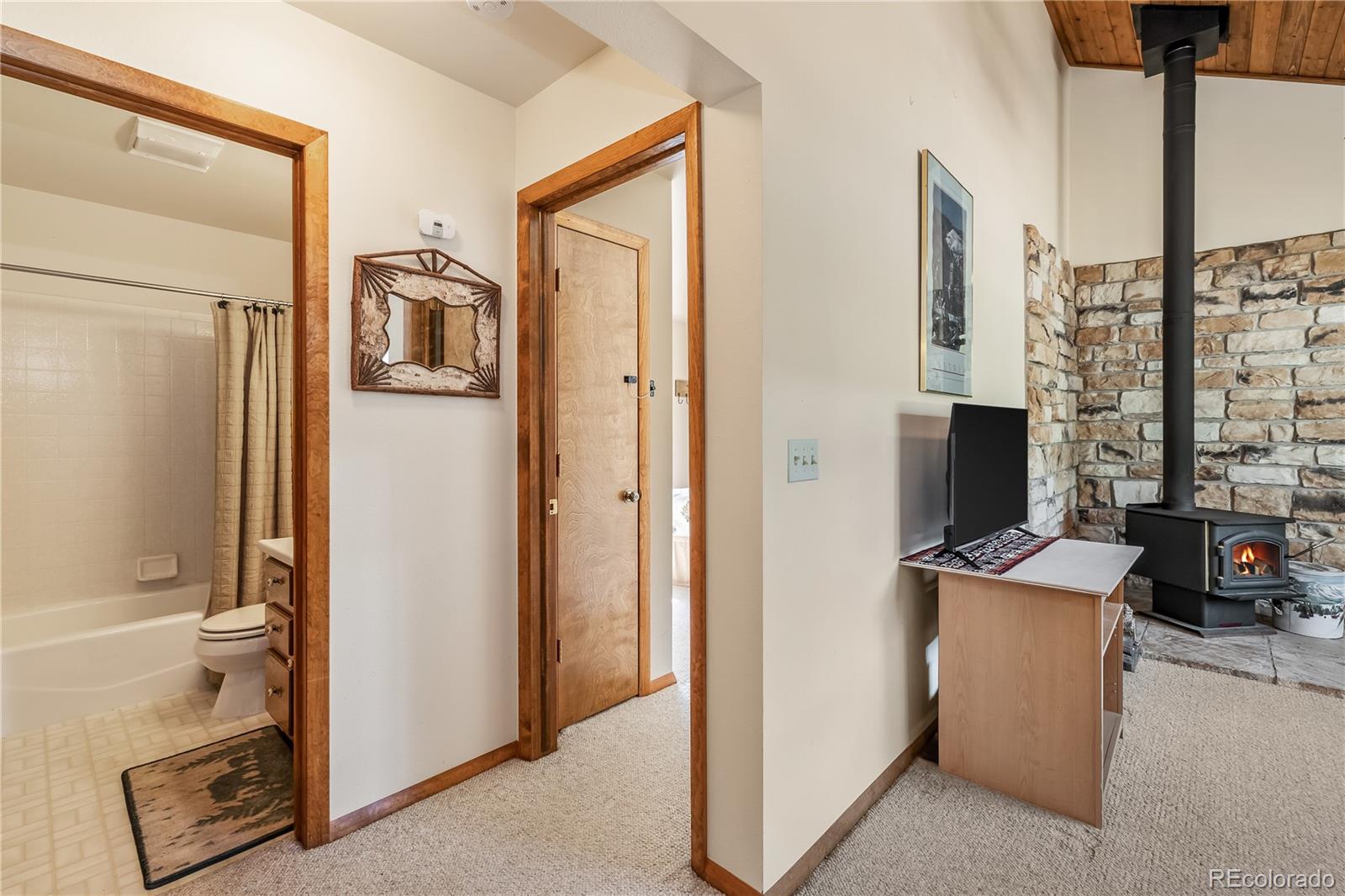 MLS Image #20 for 235  nuthatch drive,alma, Colorado