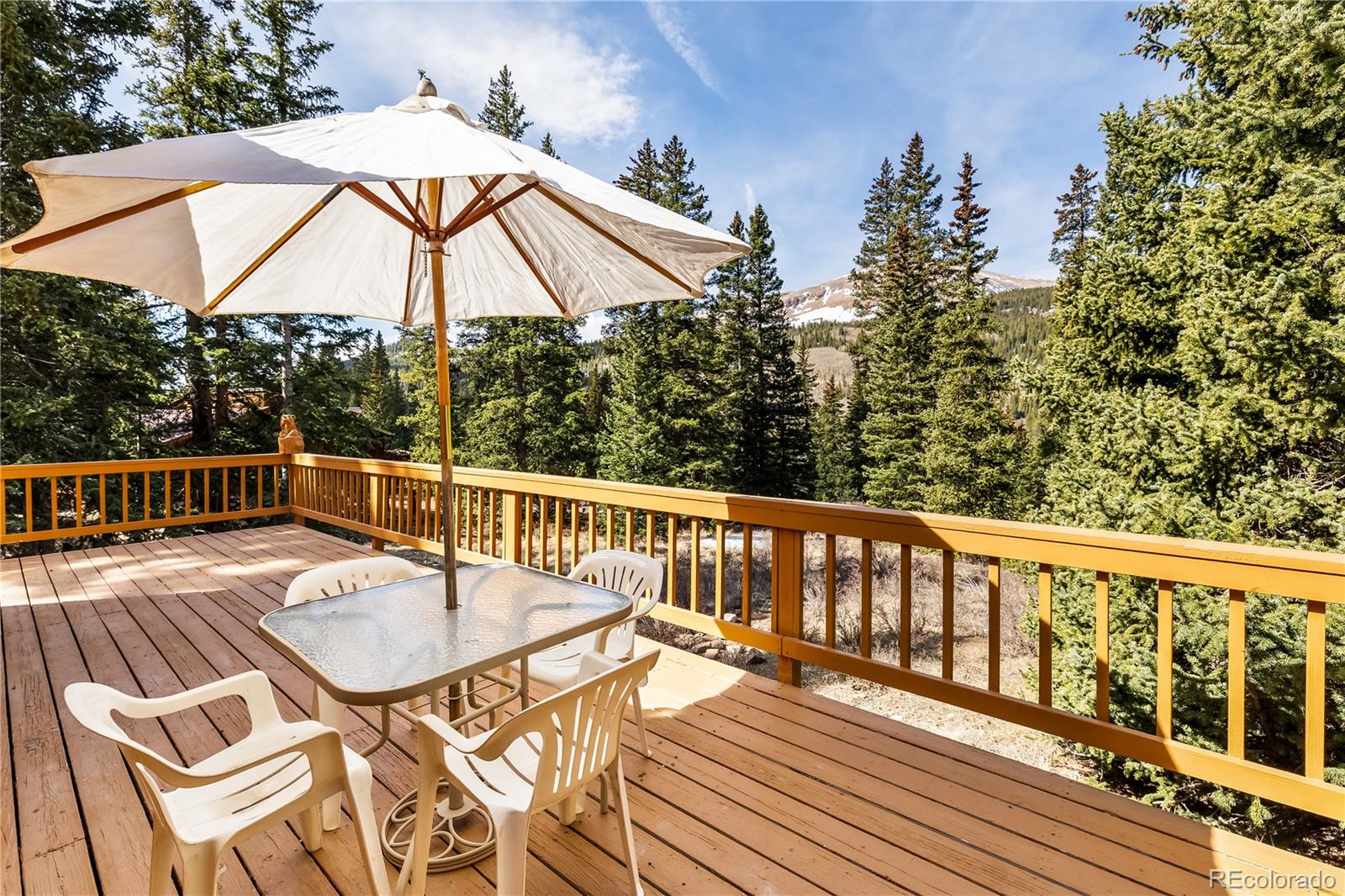 MLS Image #23 for 235  nuthatch drive,alma, Colorado
