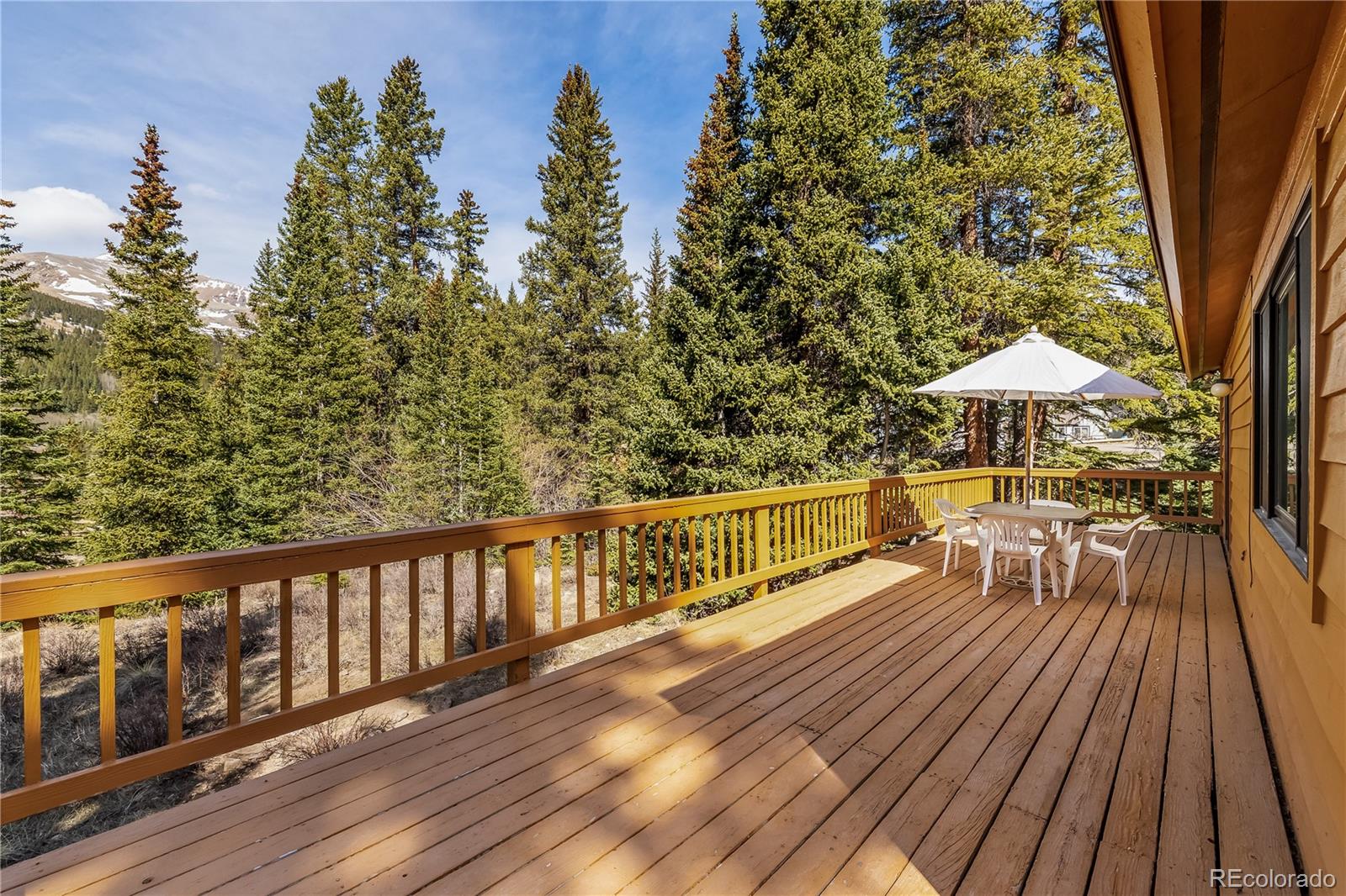 MLS Image #24 for 235  nuthatch drive,alma, Colorado