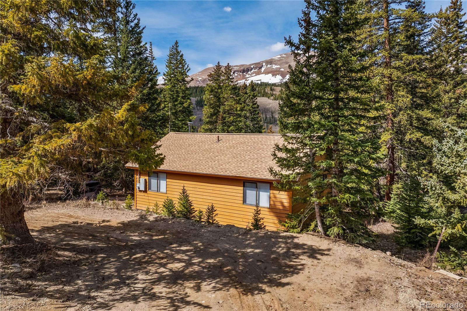 MLS Image #26 for 235  nuthatch drive,alma, Colorado