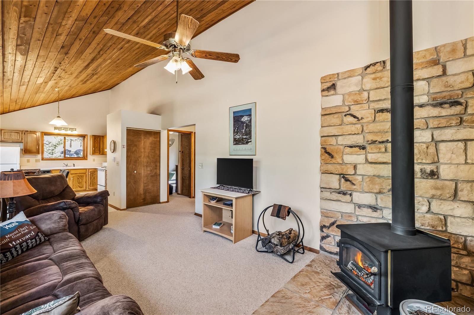 MLS Image #3 for 235  nuthatch drive,alma, Colorado