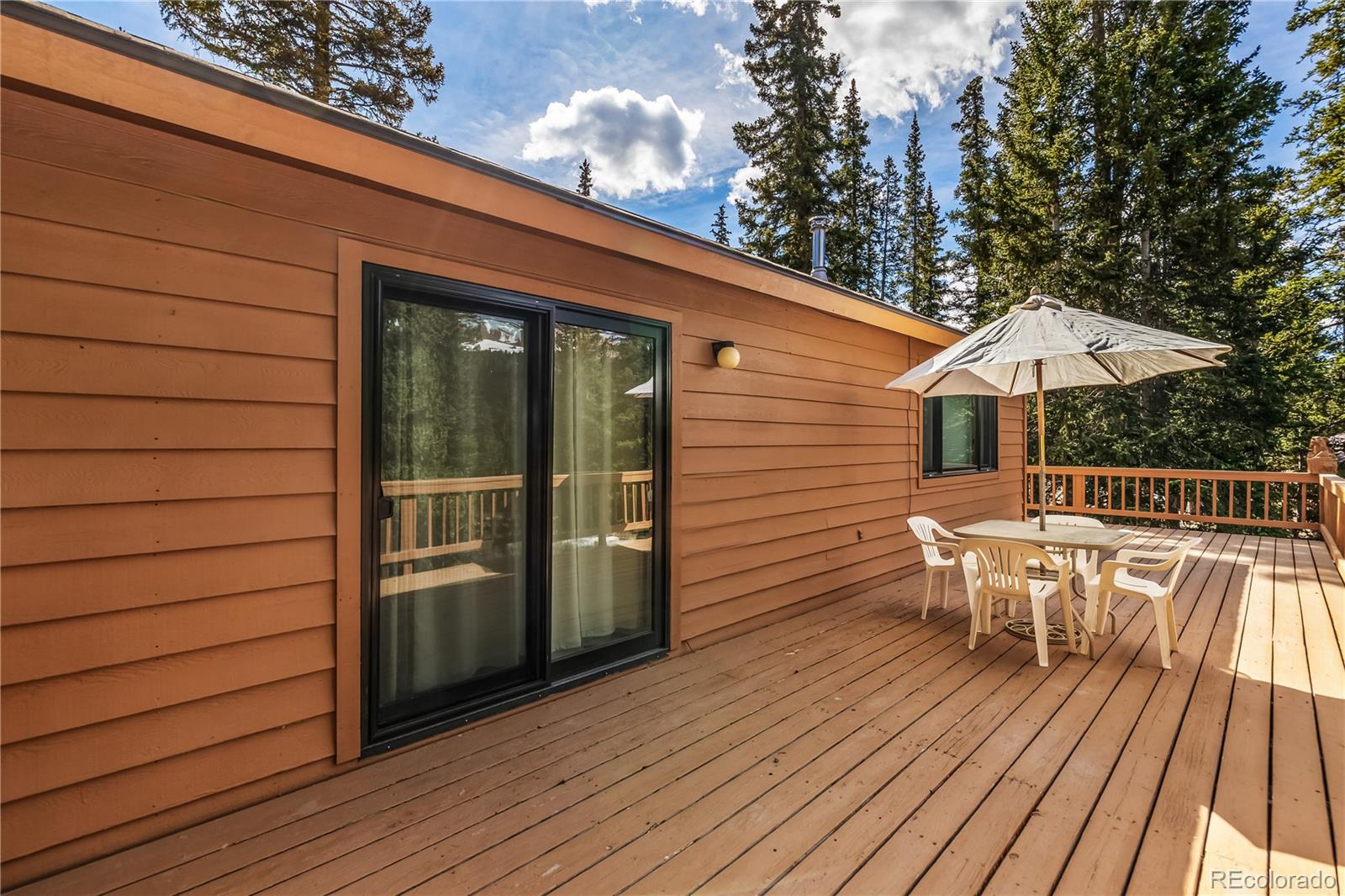 MLS Image #4 for 235  nuthatch drive,alma, Colorado