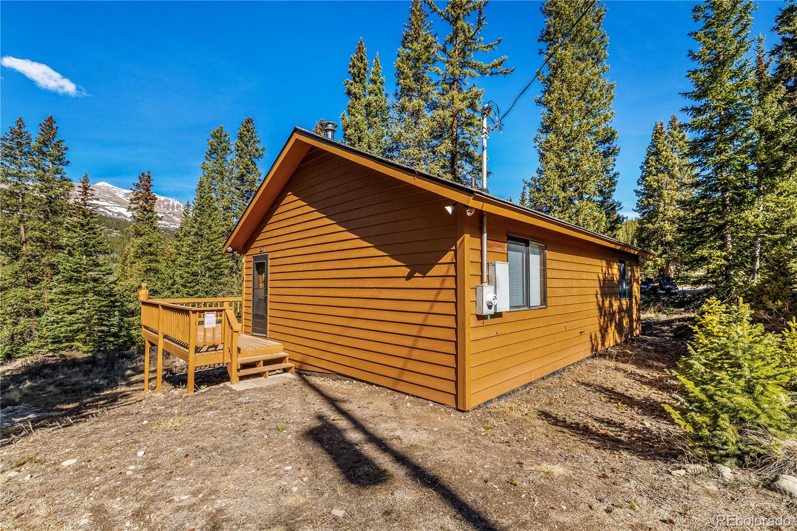 MLS Image #5 for 235  nuthatch drive,alma, Colorado