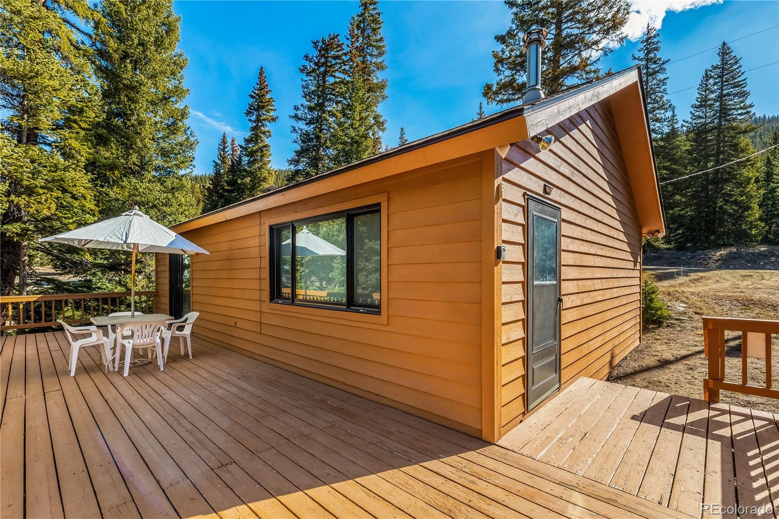 MLS Image #6 for 235  nuthatch drive,alma, Colorado