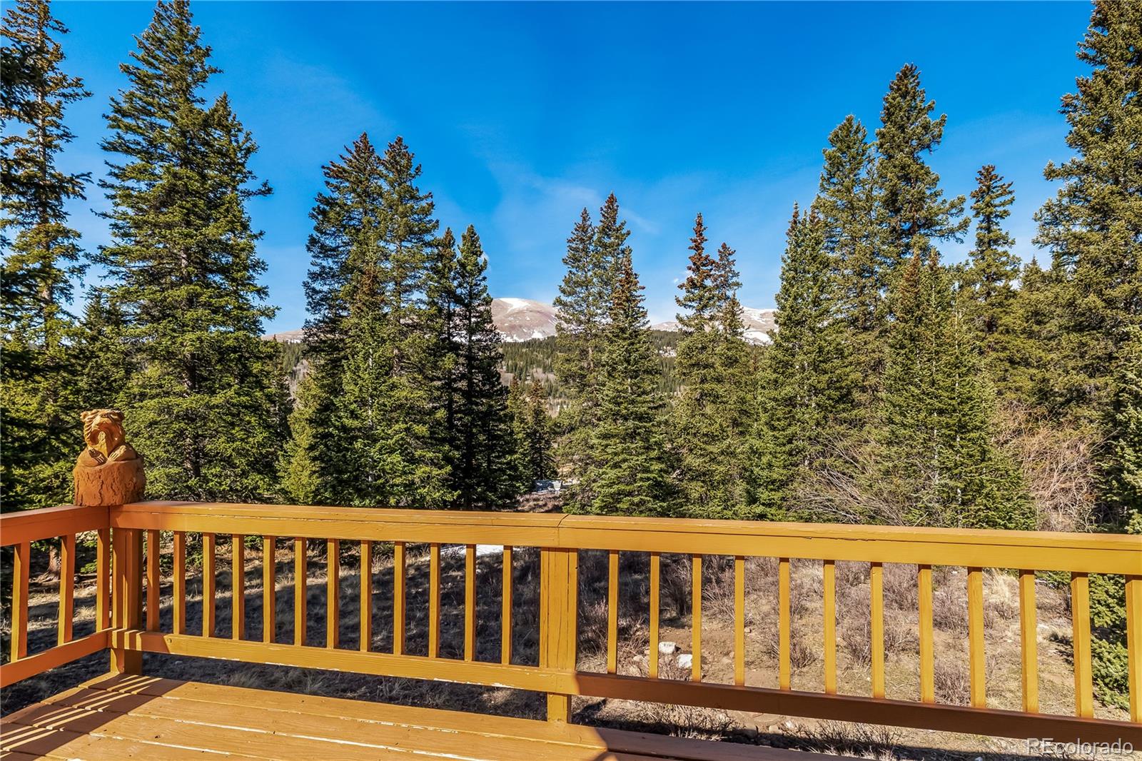 MLS Image #7 for 235  nuthatch drive,alma, Colorado